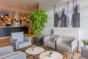 a room with chairs and a plant