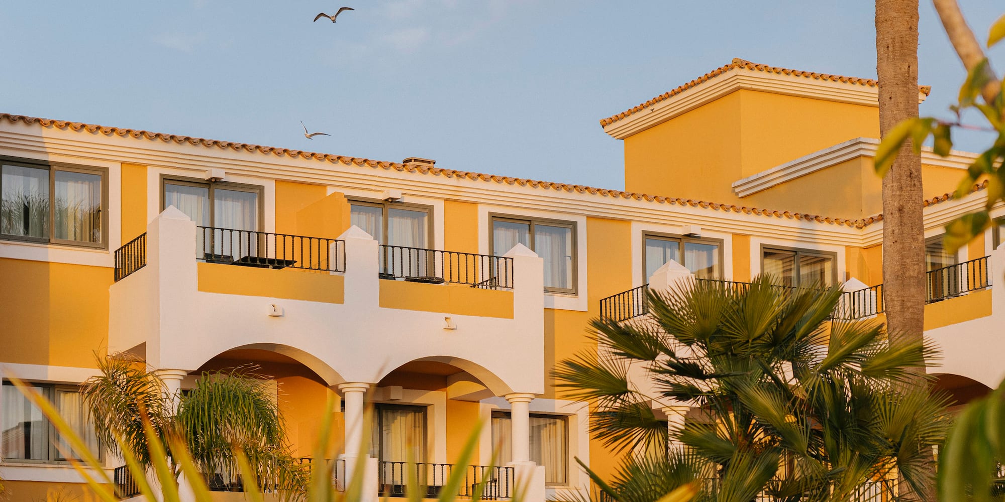 a building with palm trees and birds flying in the sky
