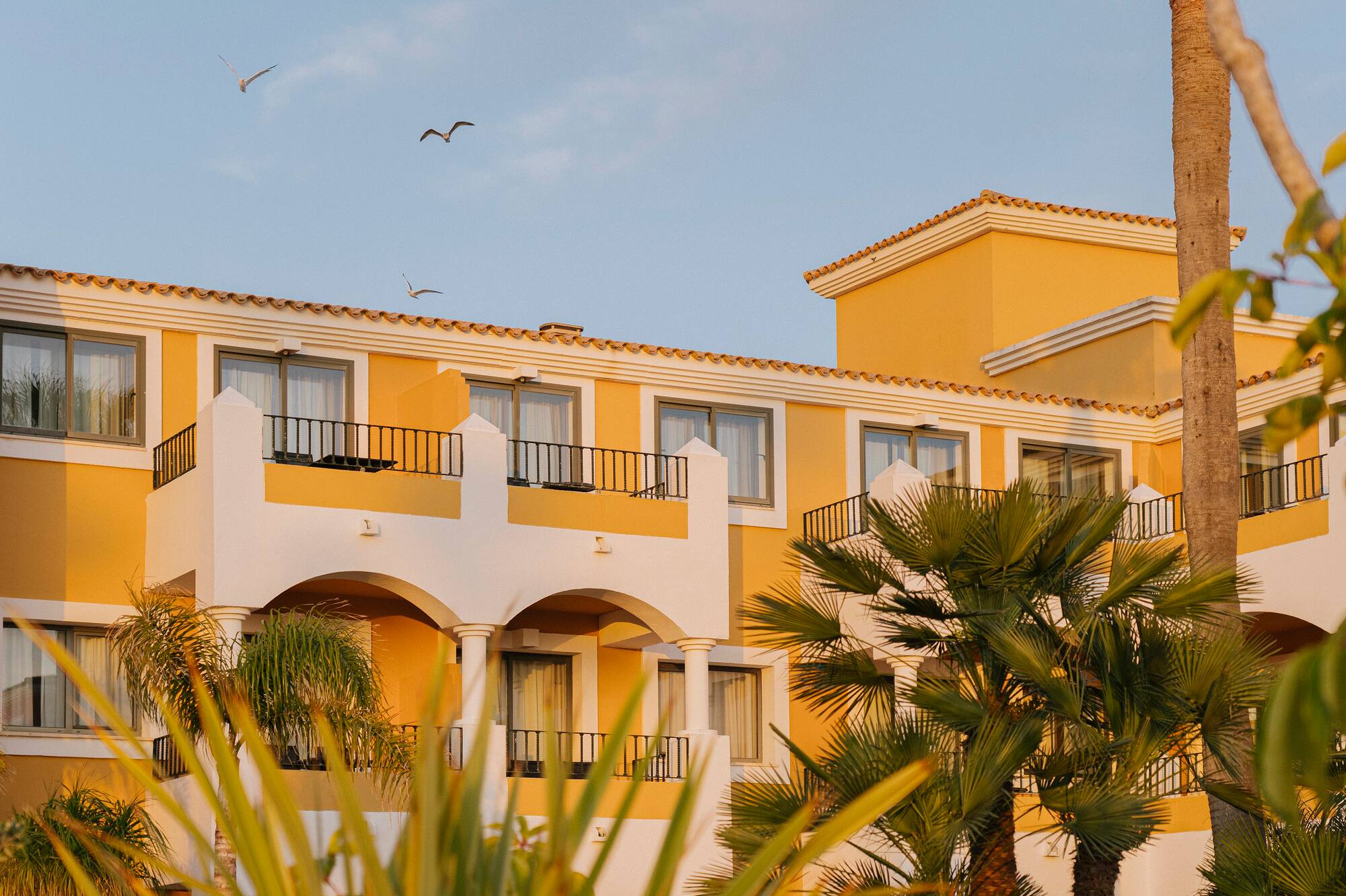Yellow hotel with white balconies, terracotta roof, palm trees, golden hour.