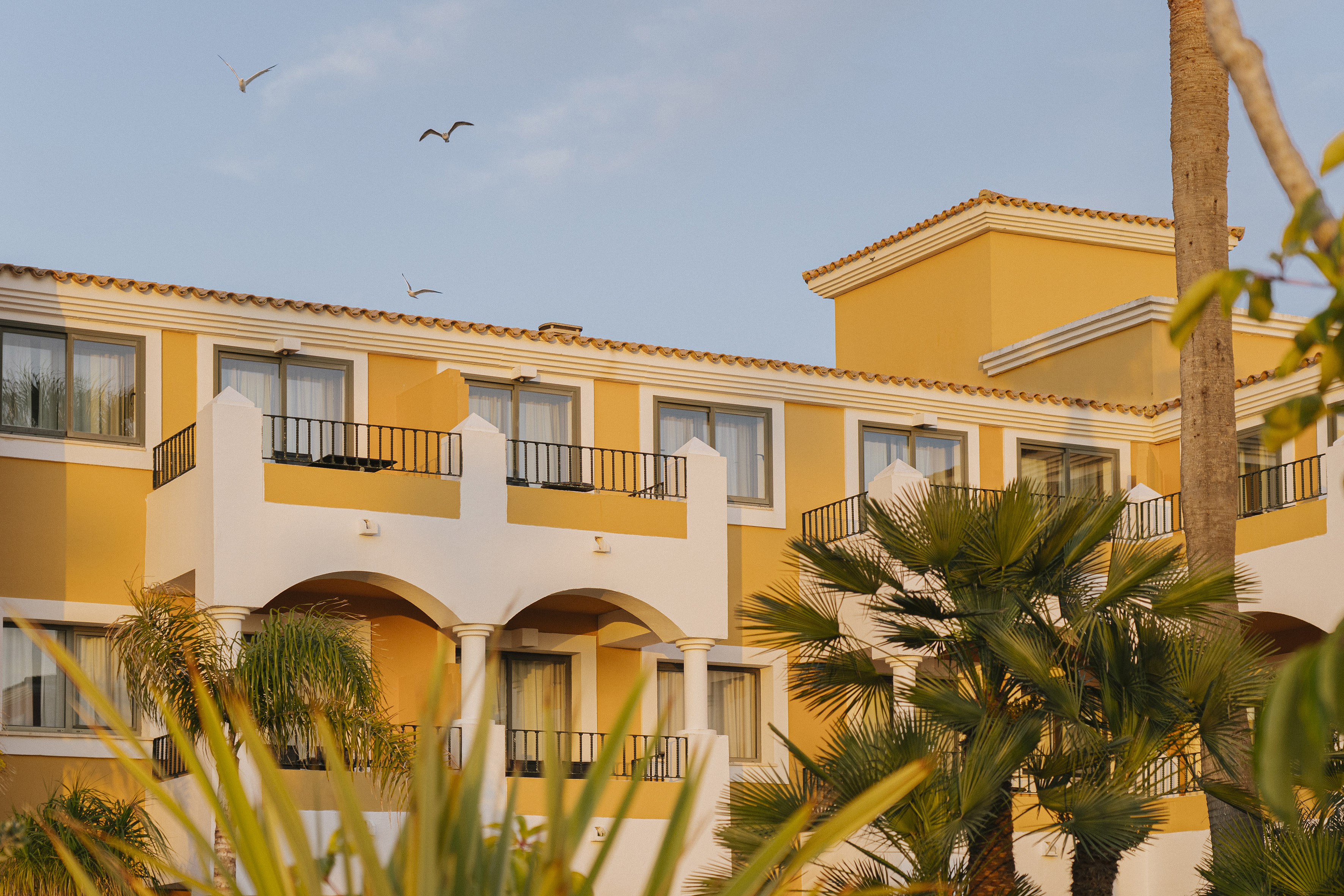 Yellow hotel with white balconies, terracotta roof, palm trees, golden hour.