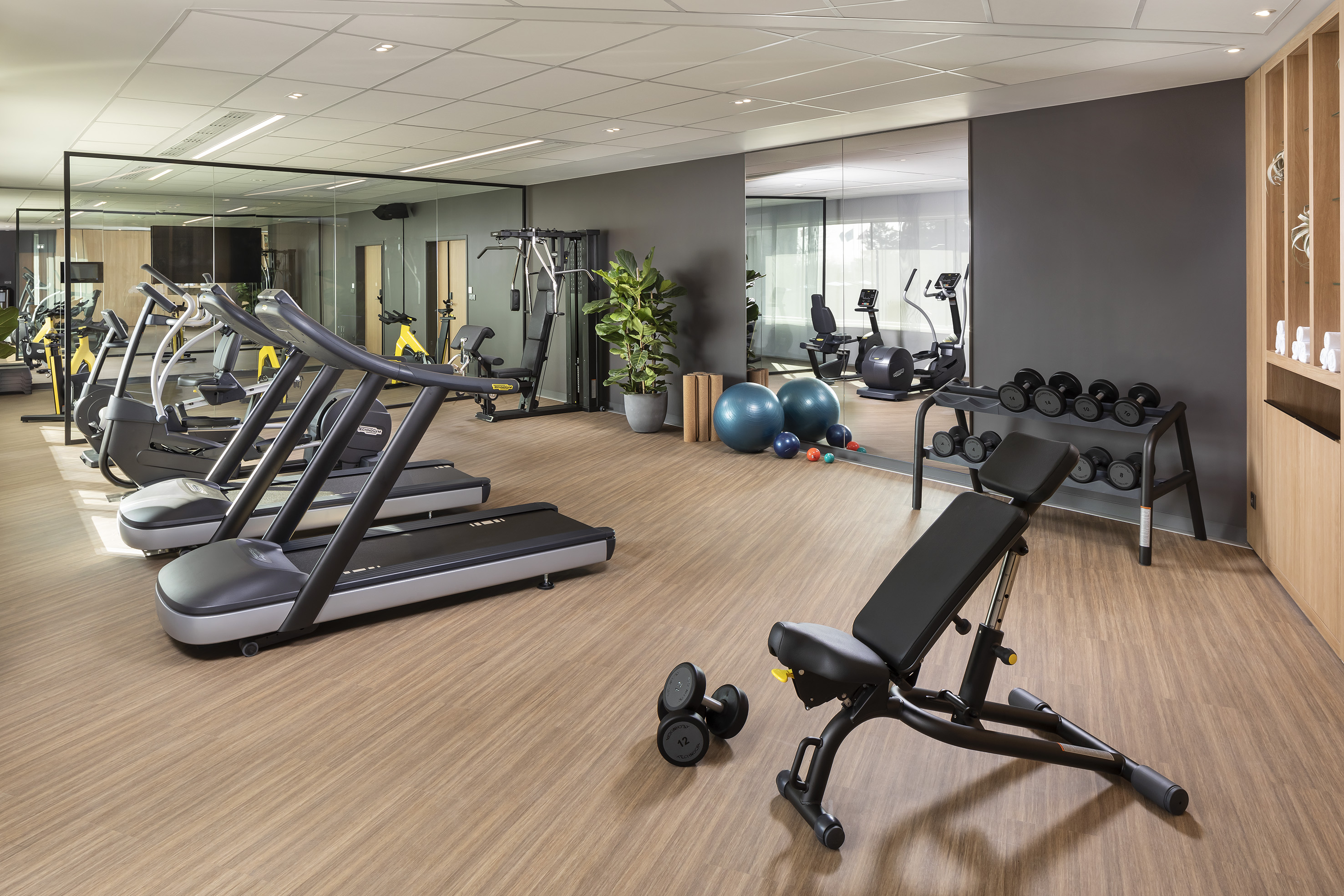 Modern fitness center with treadmills, dumbbell rack, and weight bench.