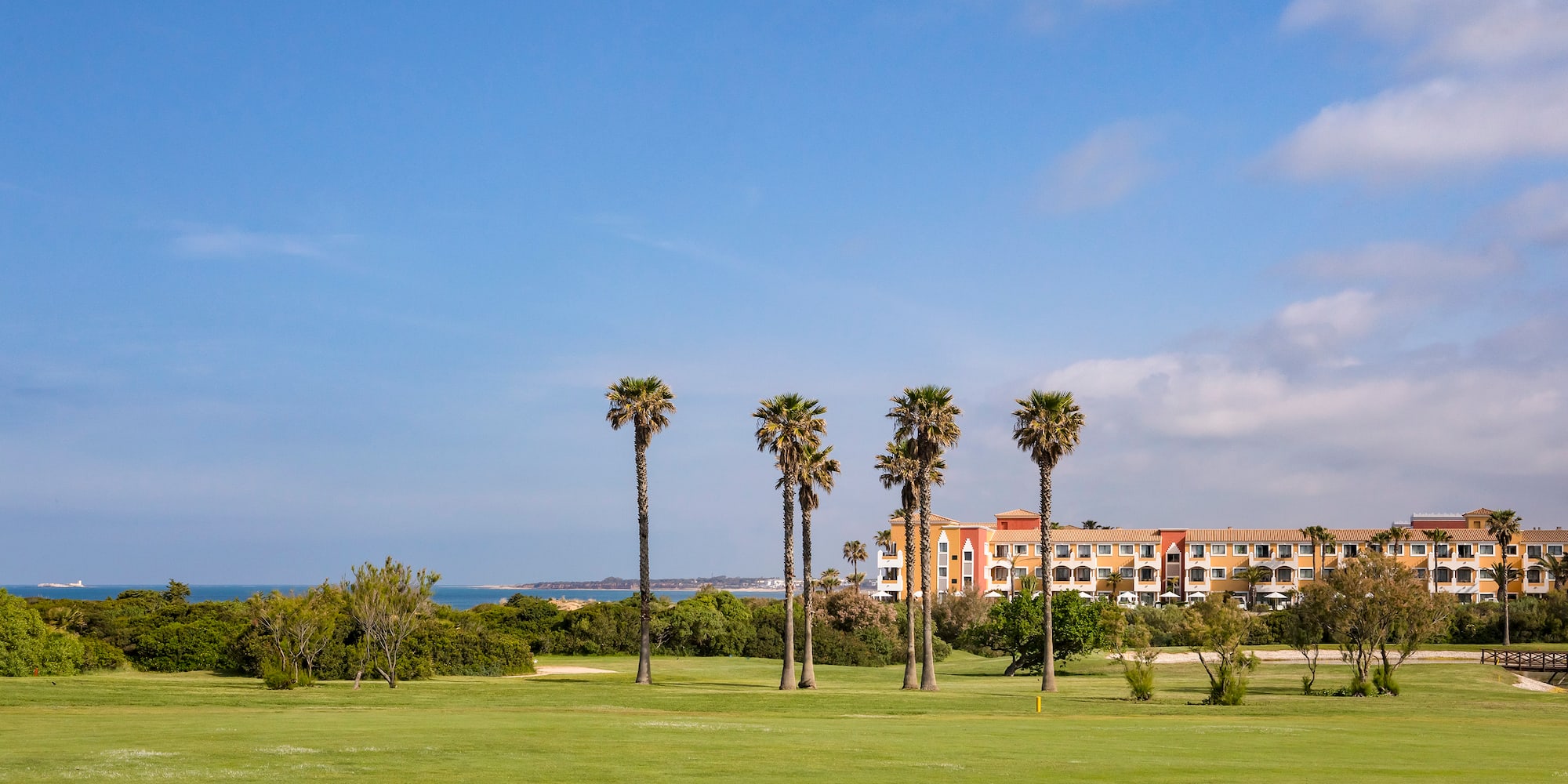 a group of palm trees in a grassy area with a building in the background