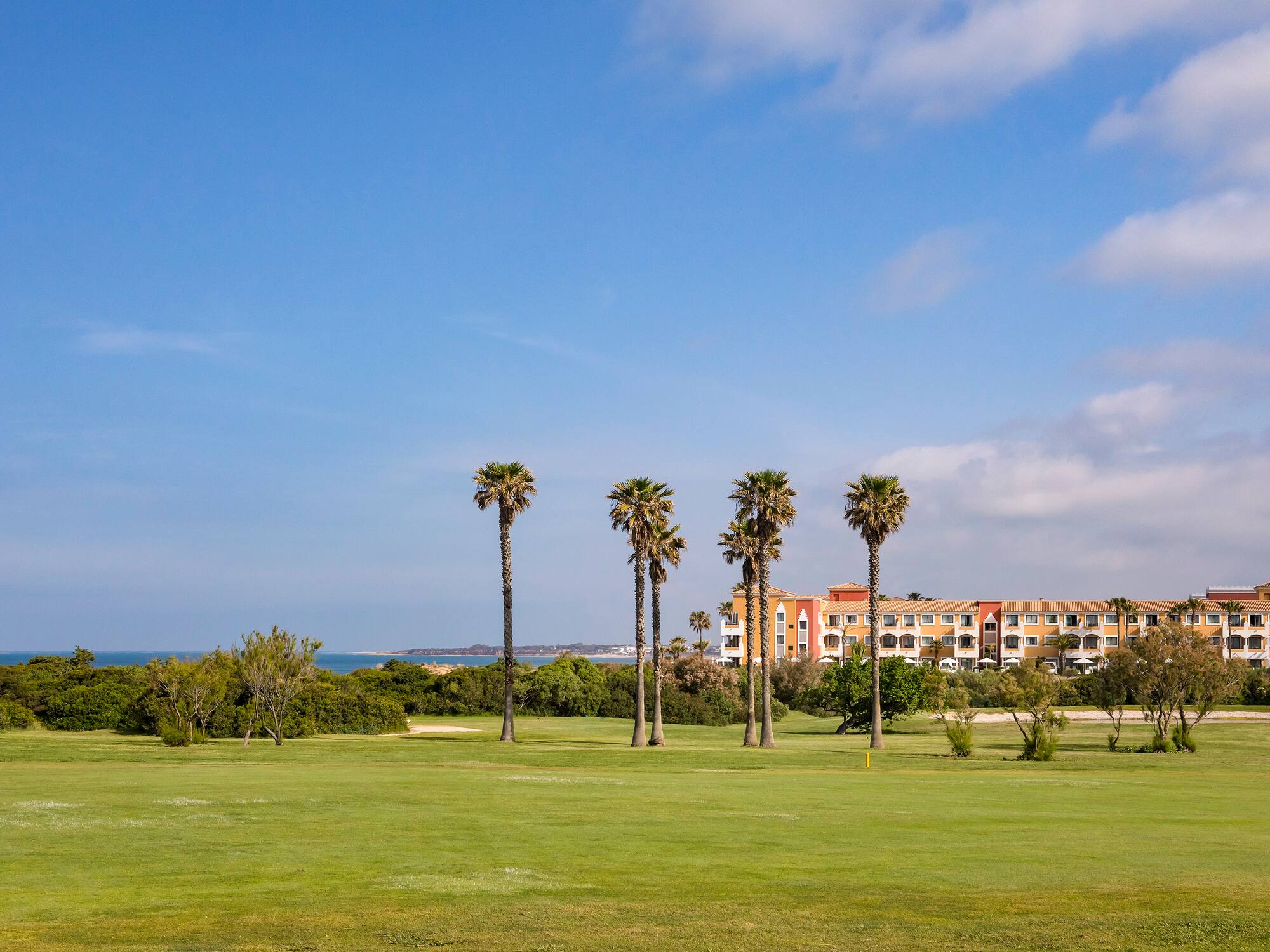 a group of palm trees in a grassy area with a building in the background
