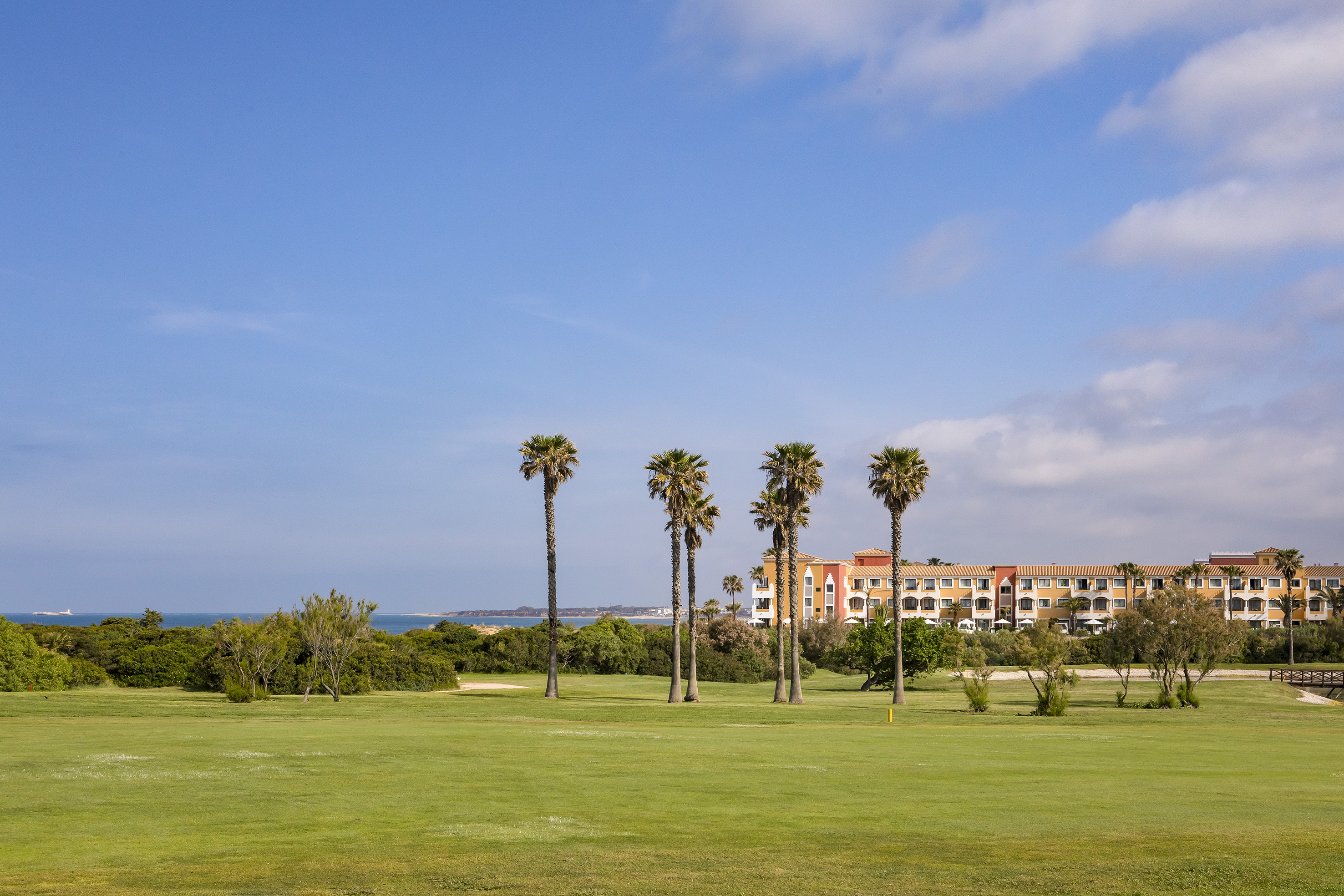 a group of palm trees in a grassy area with a building in the background