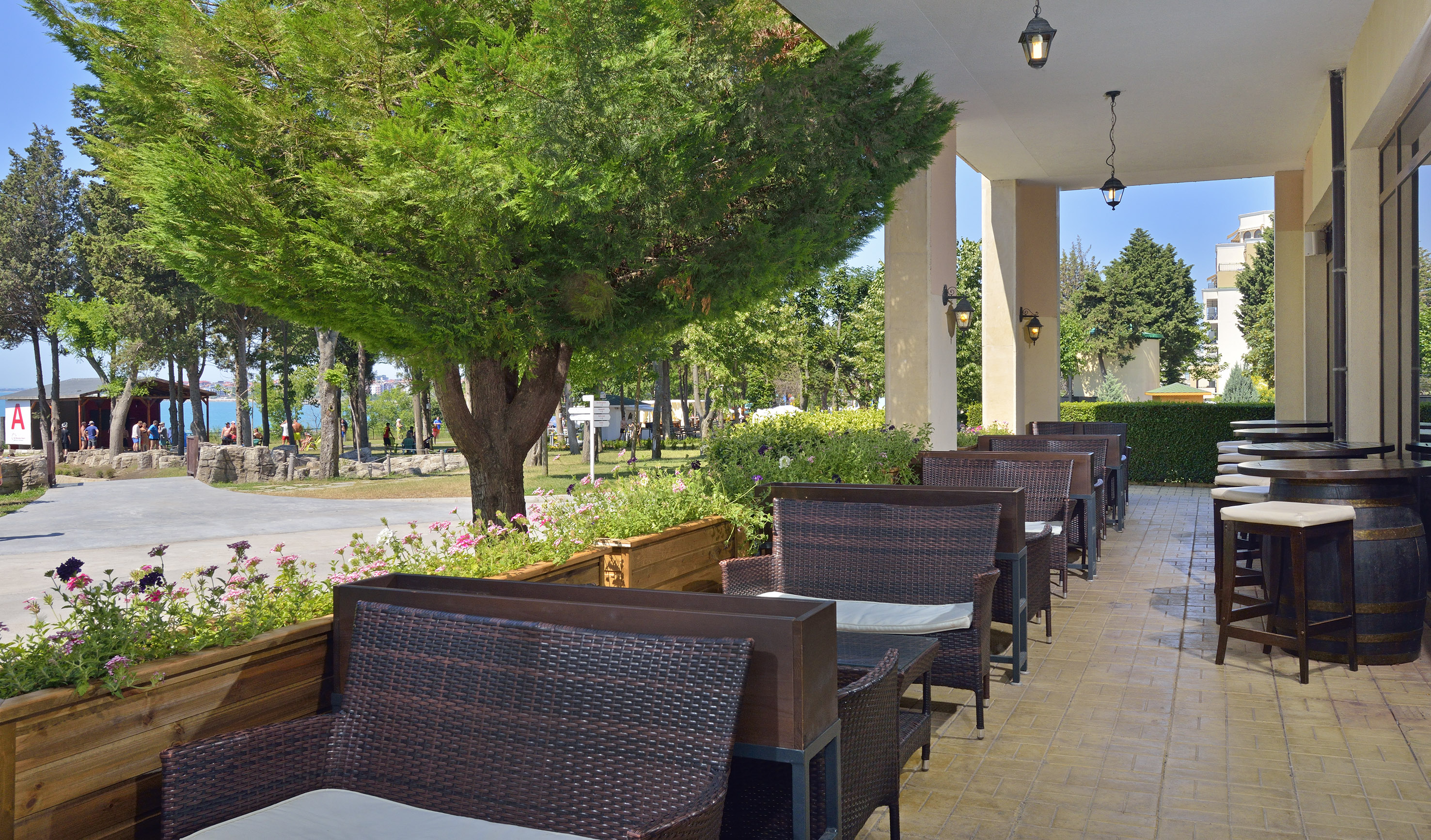 a row of chairs and tables on a patio
