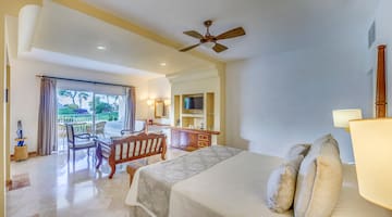 a bedroom with a bed and a television