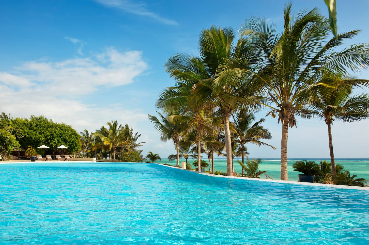 a pool with palm trees and a beach