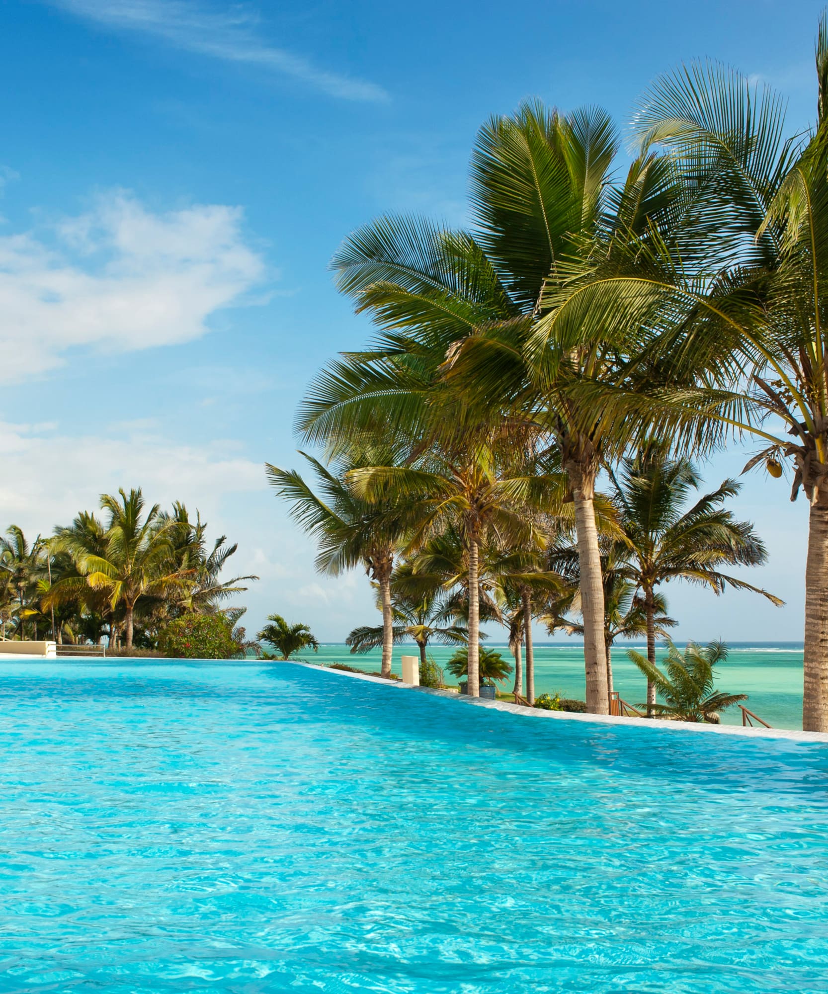 a pool with palm trees and a beach