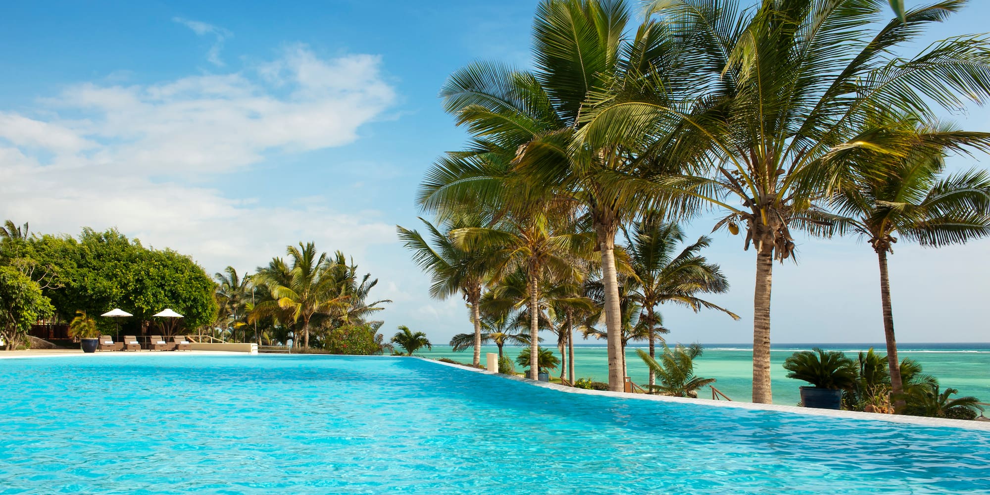 a pool with palm trees and a beach
