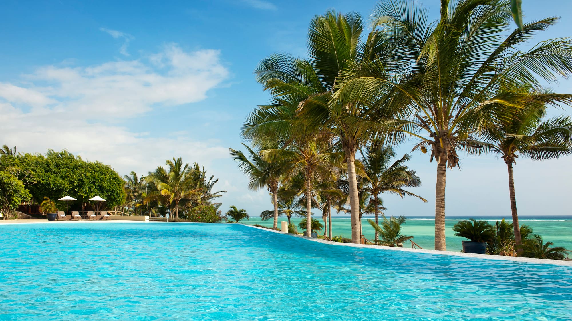a pool with palm trees and a beach