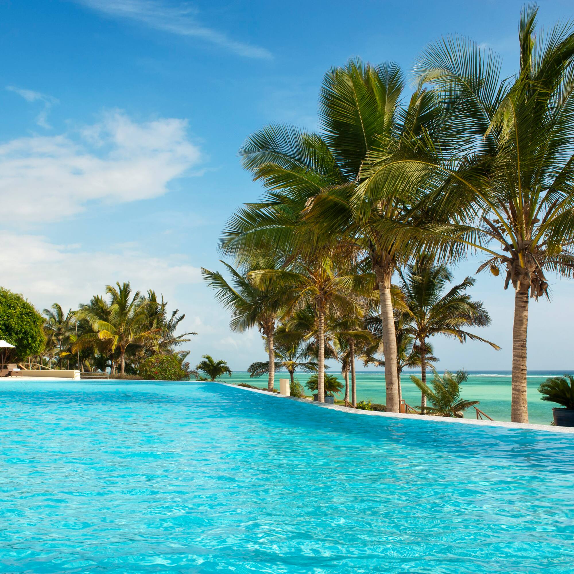 a pool with palm trees and a beach