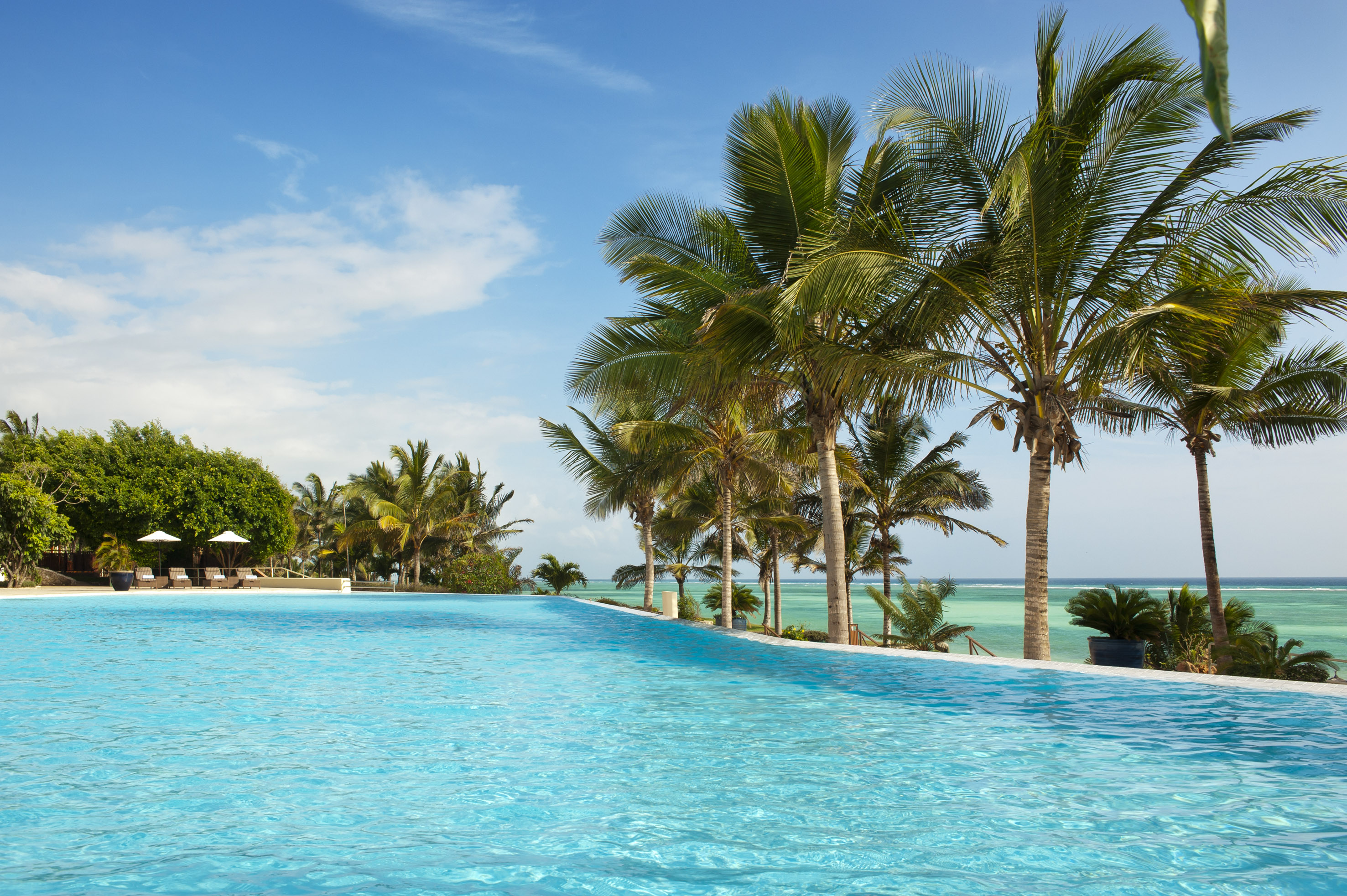 Tropical infinity pool with palm trees overlooking a turquoise ocean under blue sky.