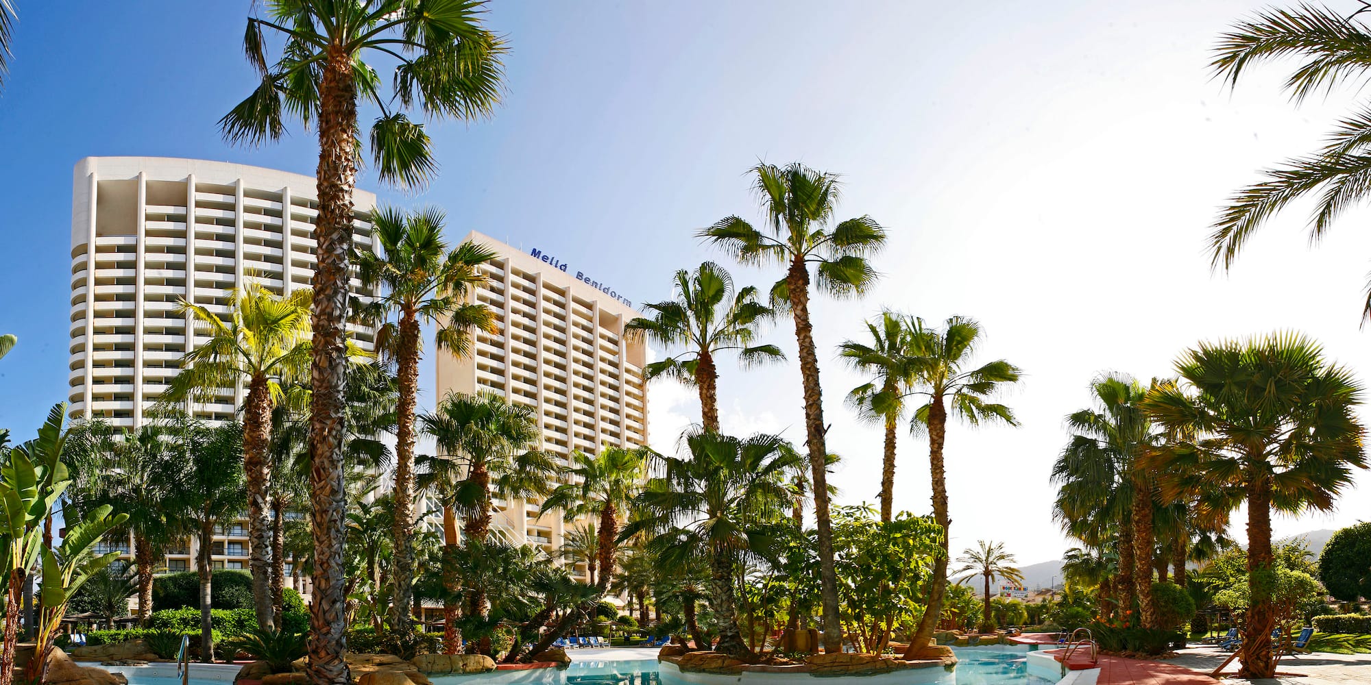 a pool with palm trees and a building in the background