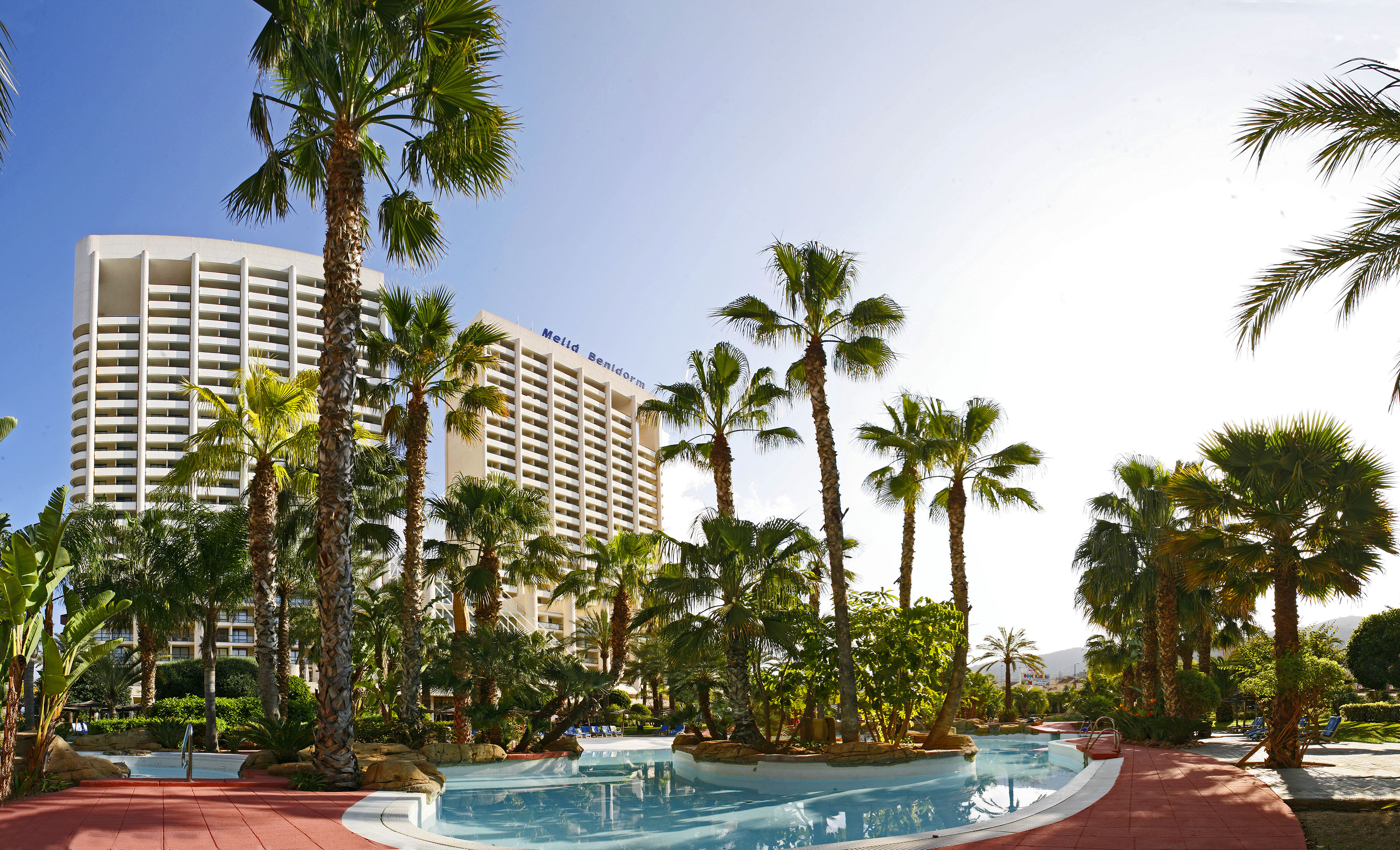 a pool with palm trees and a building in the background