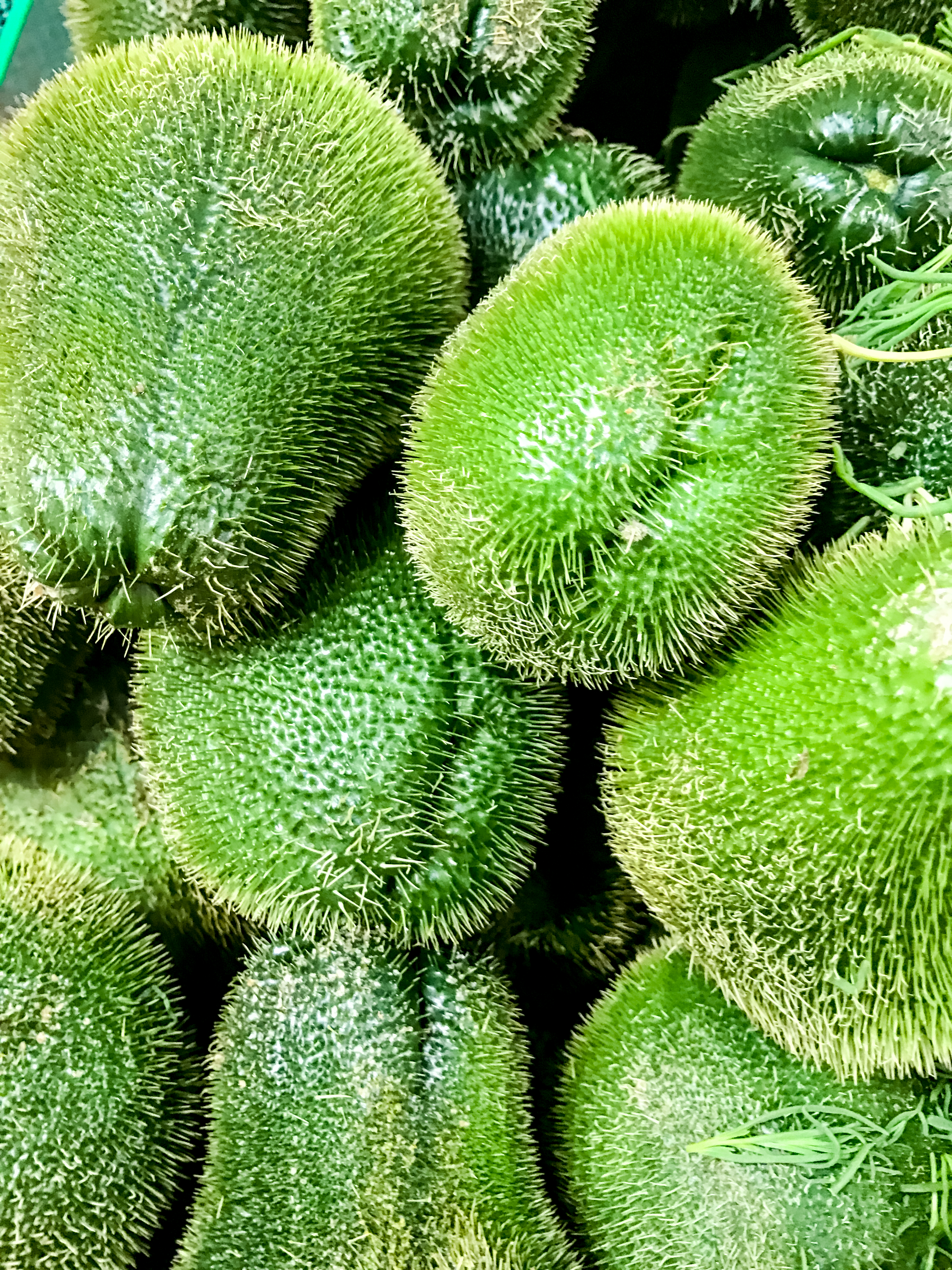 a pile of green fruit