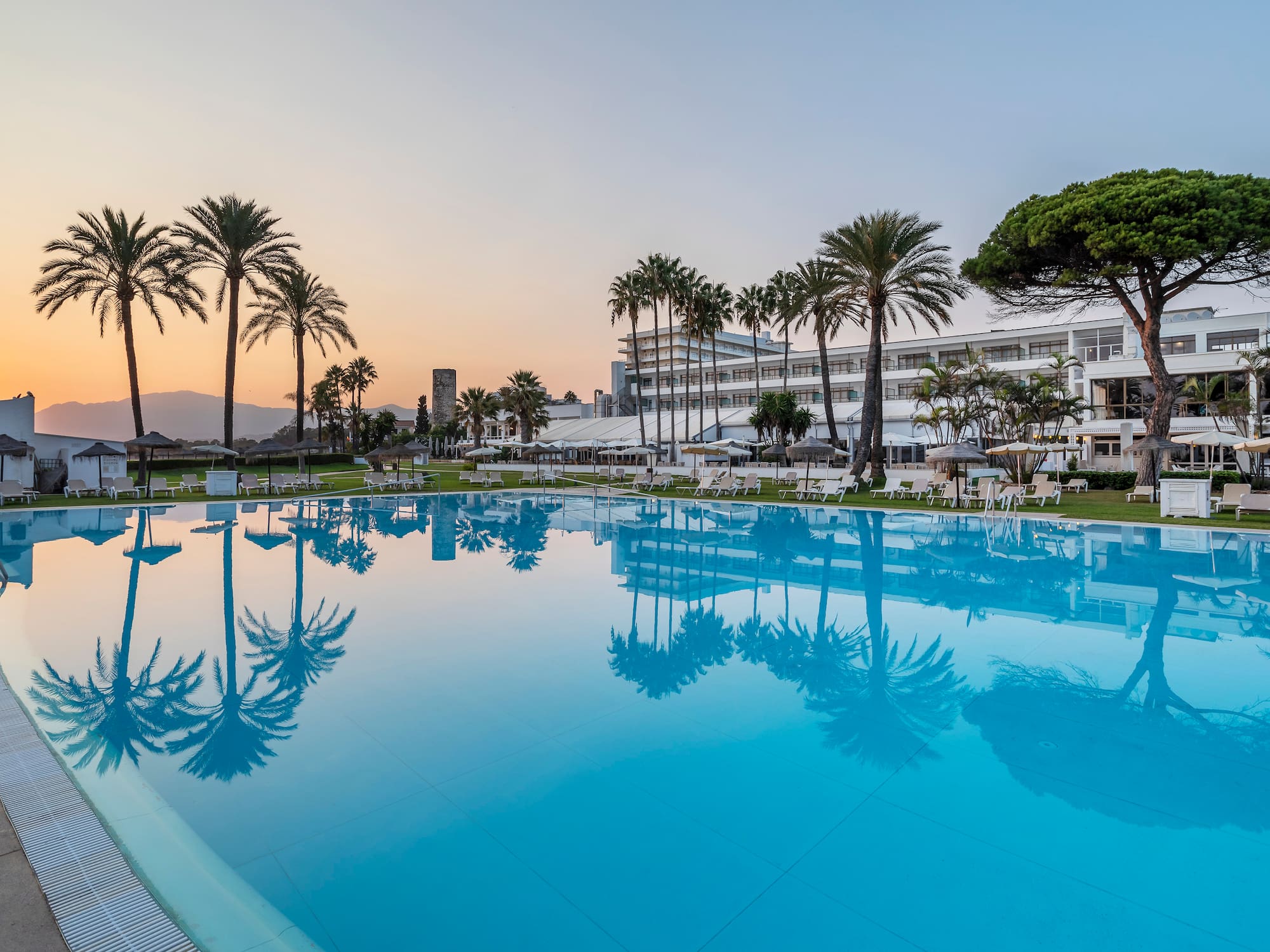 a pool with palm trees and a building in the background