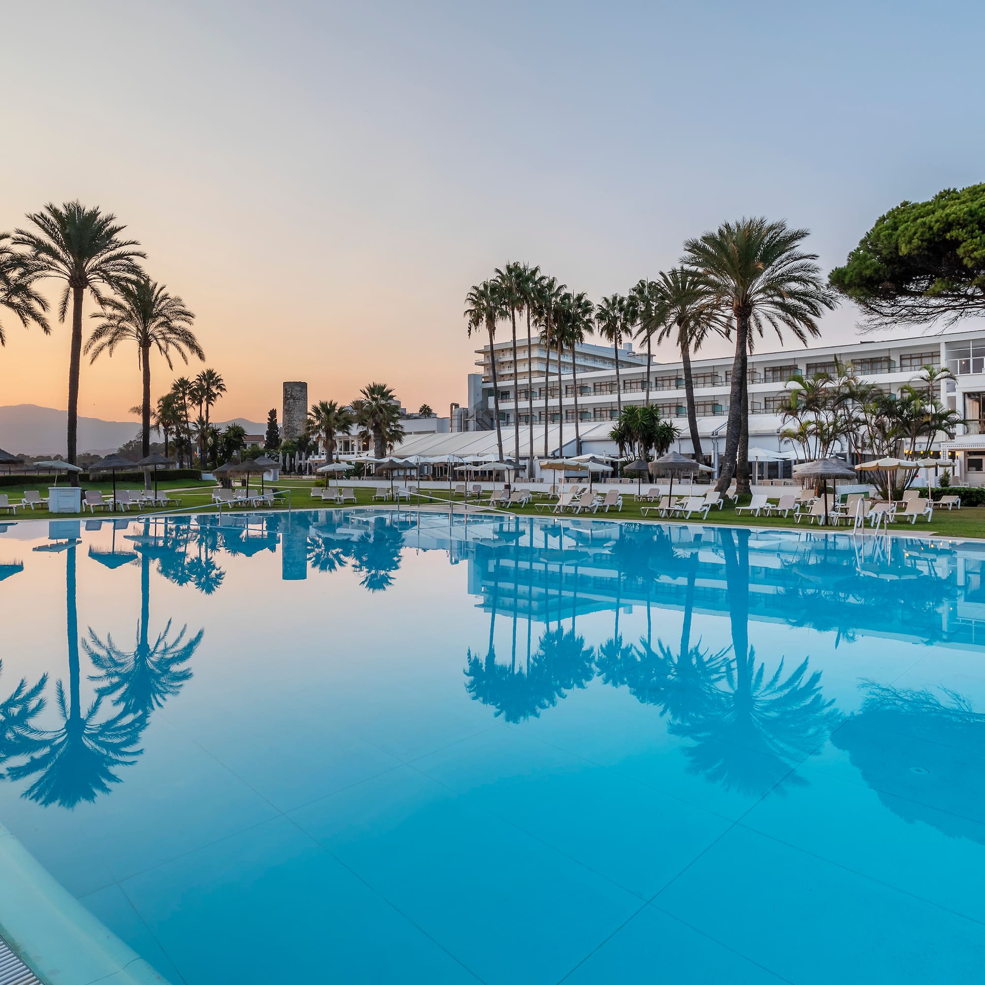a pool with palm trees and a building in the background