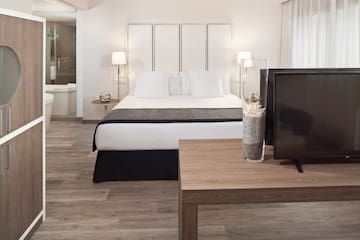 a room with a bed and a television