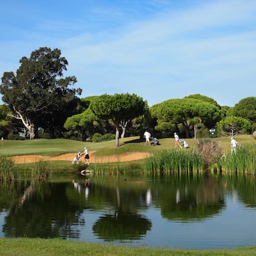 a group of people playing golf