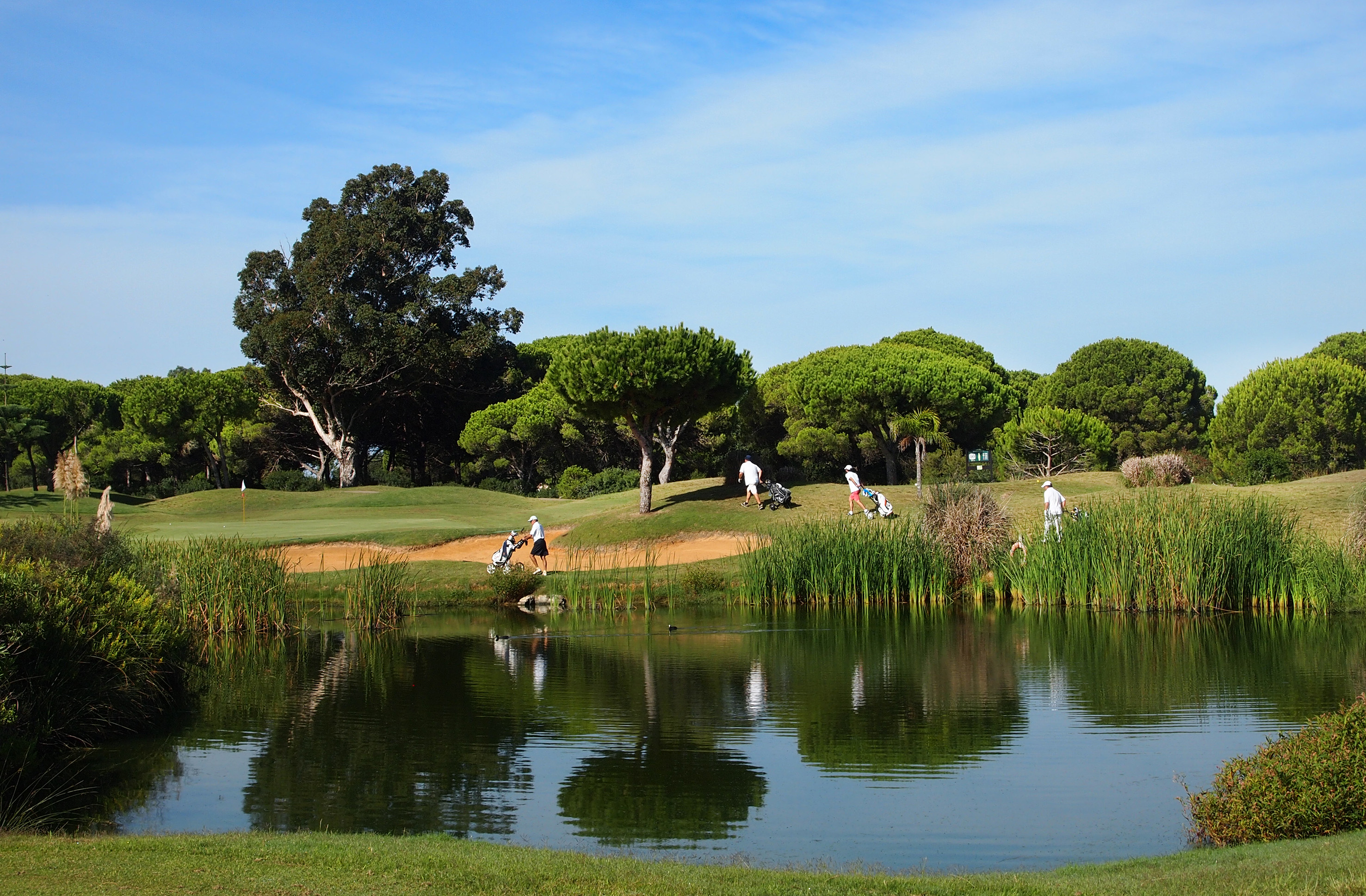 Golfers on a sunny course with water hazard, green fairways, and trees.