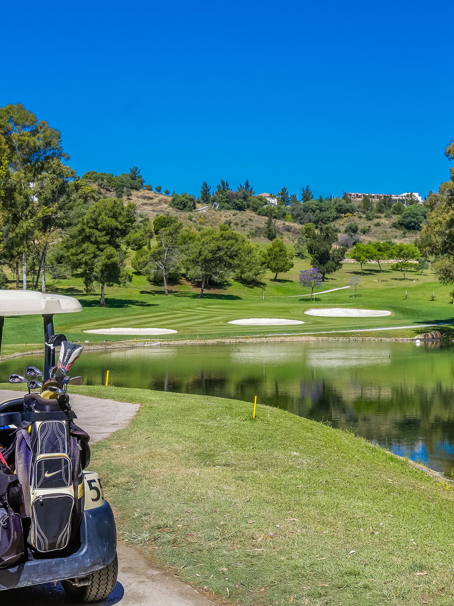 a golf cart parked next to a pond