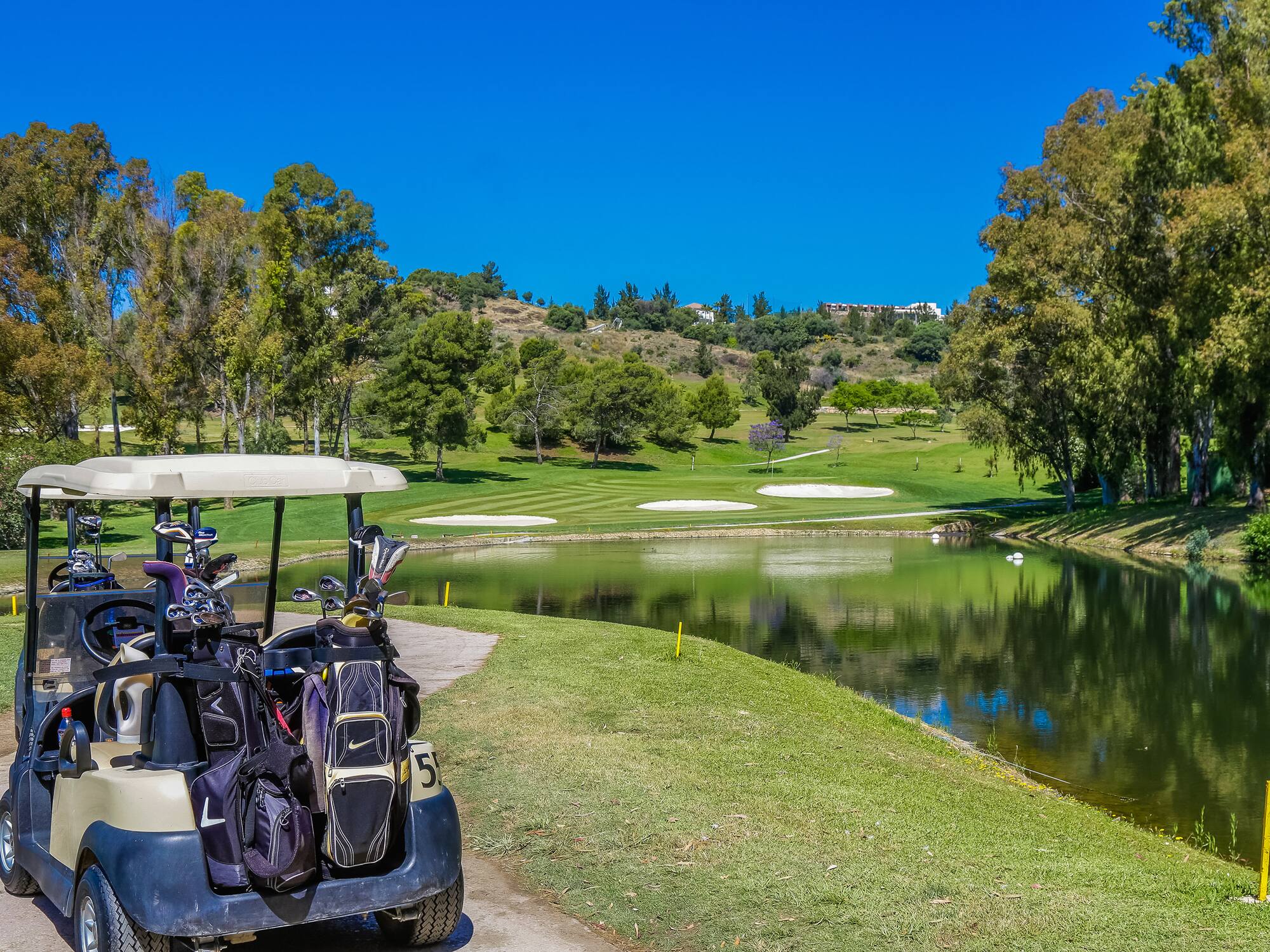 a golf cart parked next to a pond