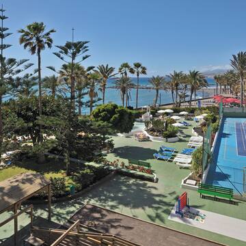 a swimming pool and palm trees by the water