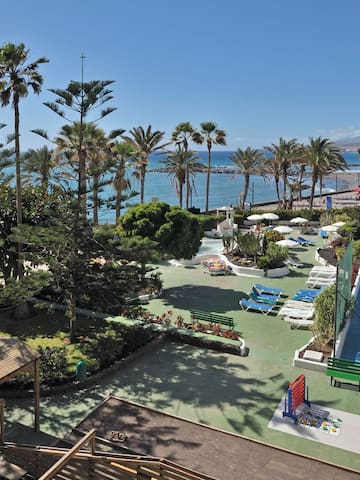 a swimming pool and palm trees by the water