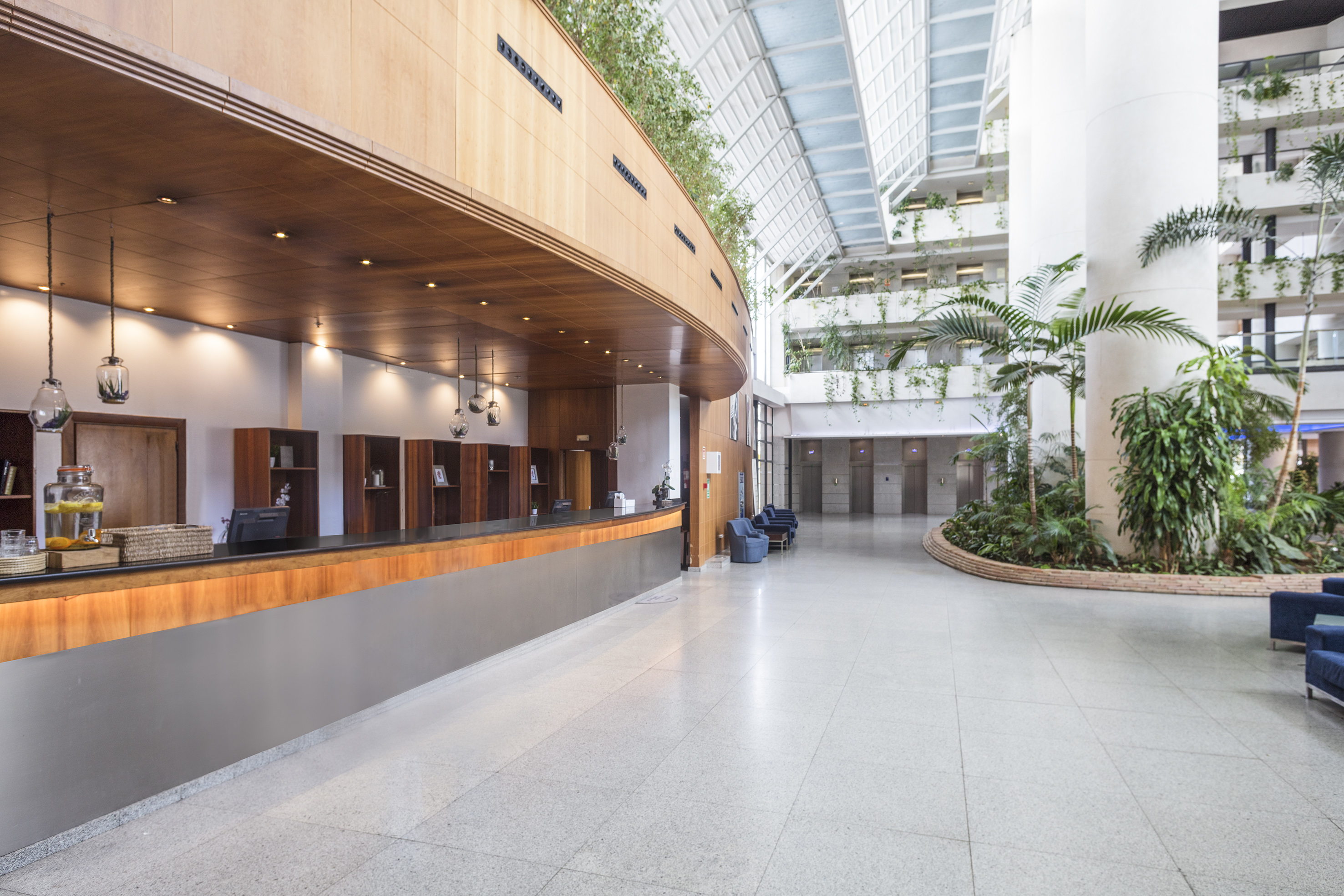 Modern hotel lobby with wooden reception desk, bright atrium, and lush greenery.