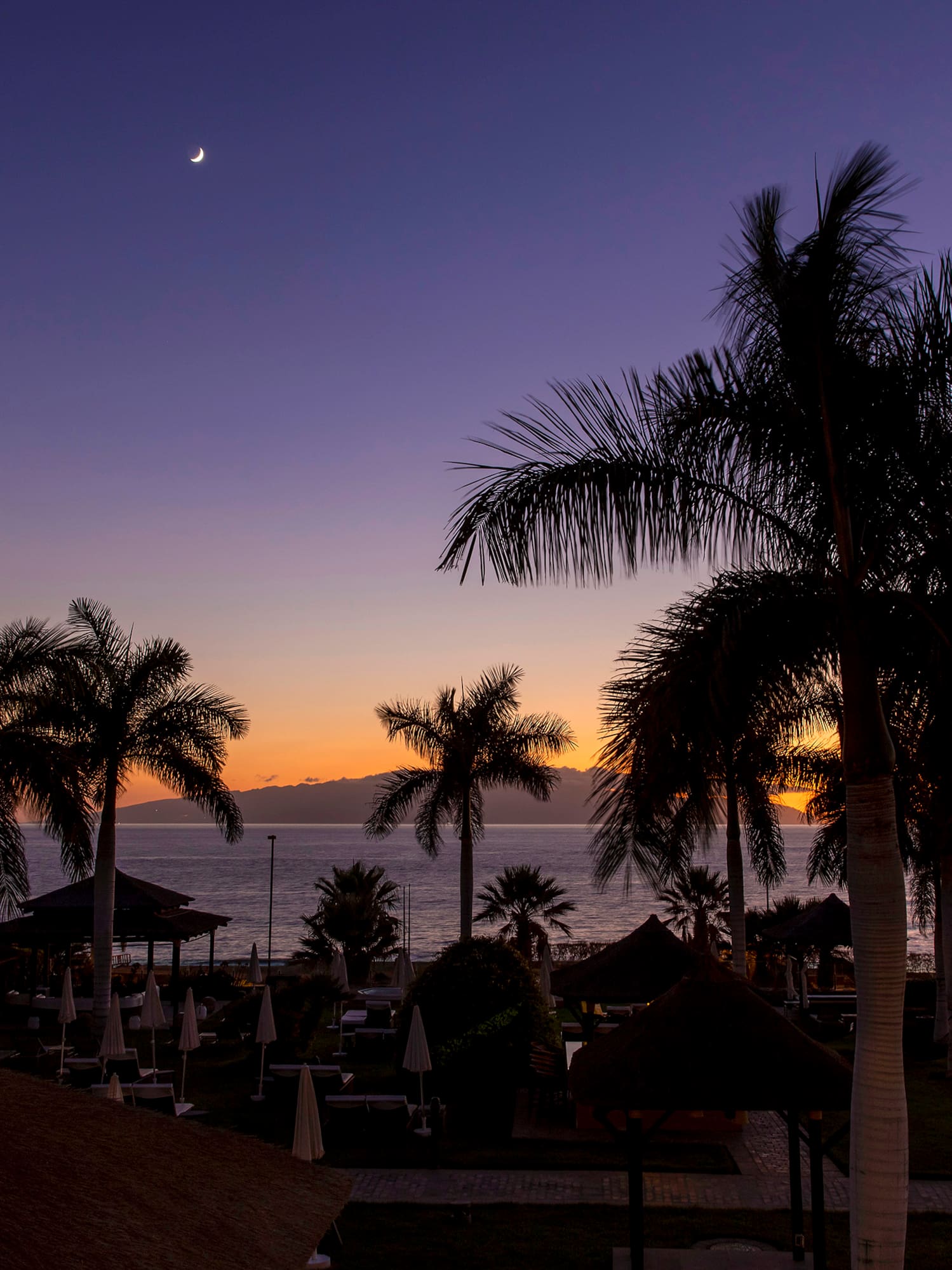 a beach with palm trees and a sunset