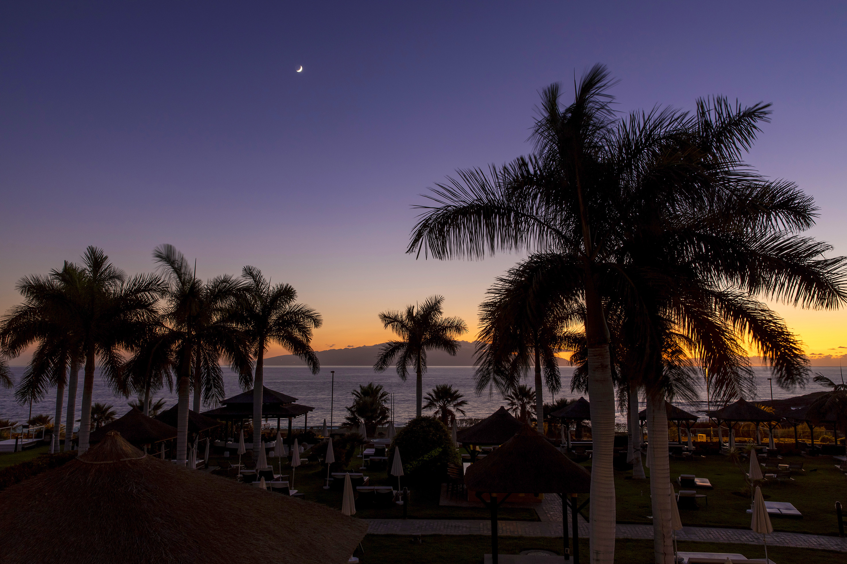 Dusk over tropical beach resort with palm trees, crescent moon, and ocean.
