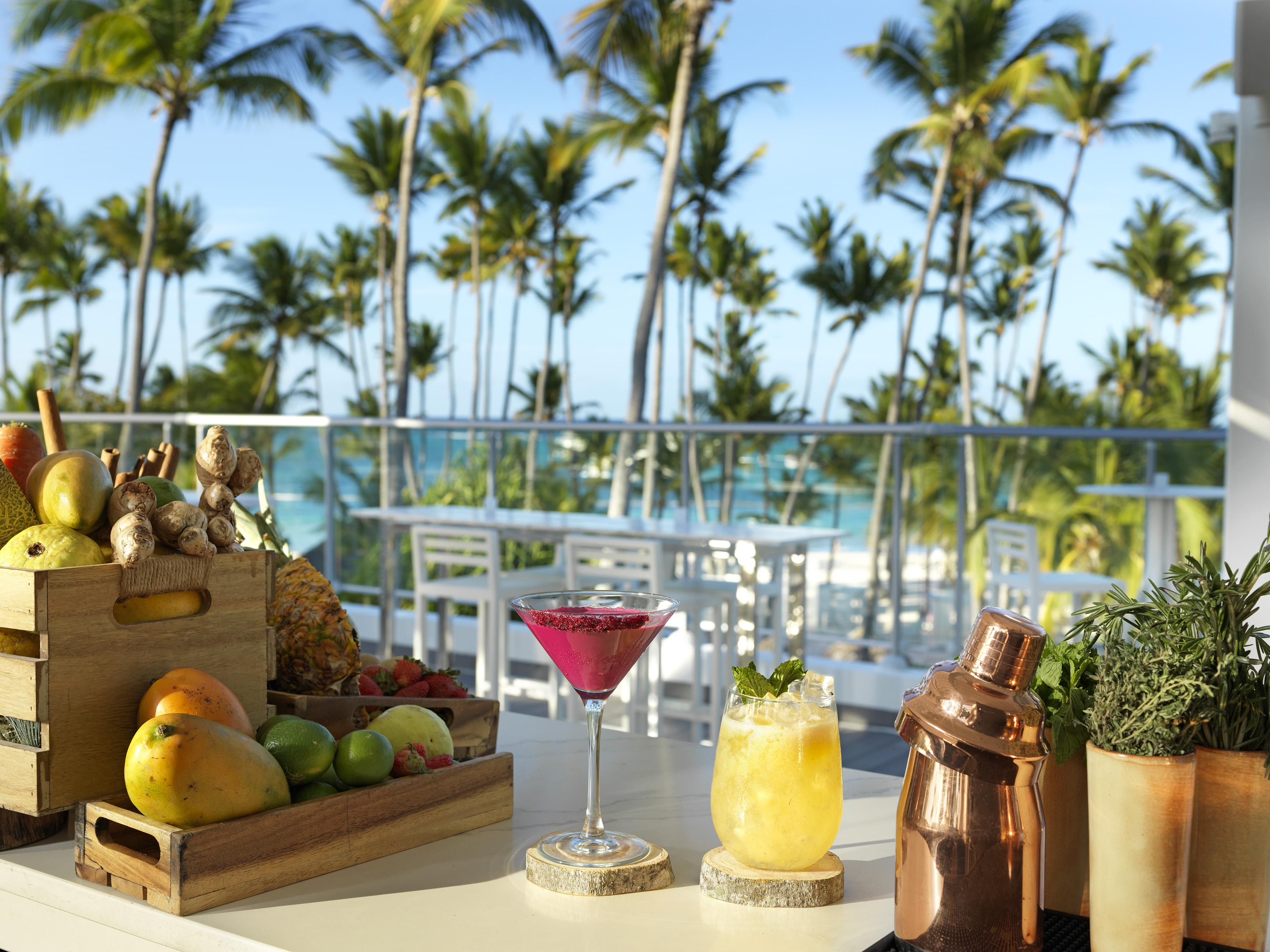 Tropical cocktails and fresh fruit bar with palm trees and ocean view.
