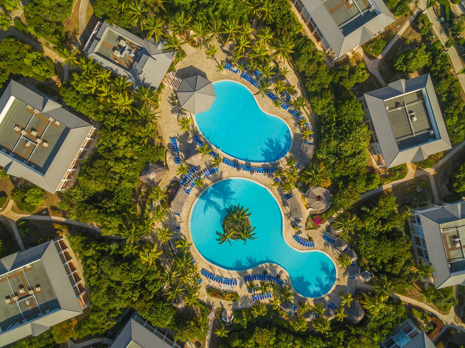 a swimming pool surrounded by trees