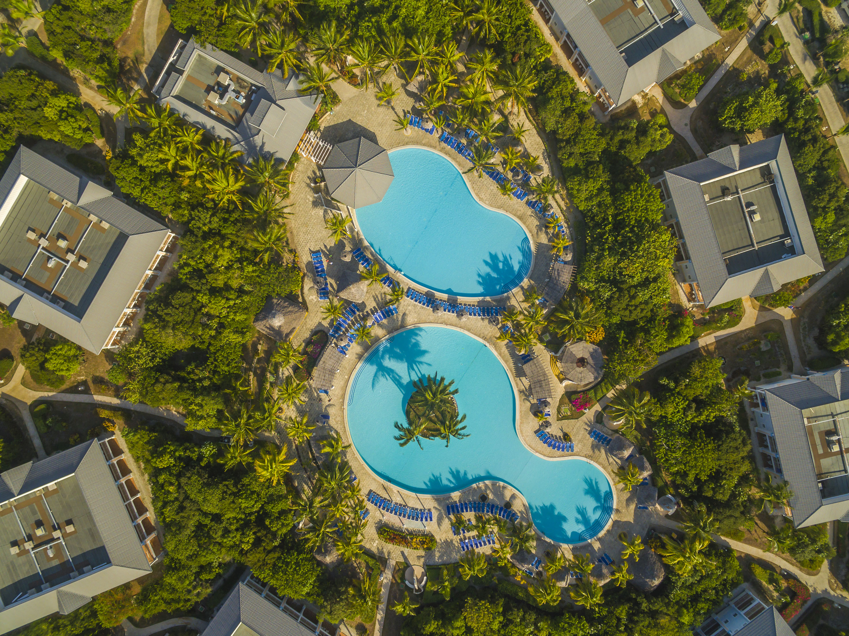a swimming pool surrounded by trees