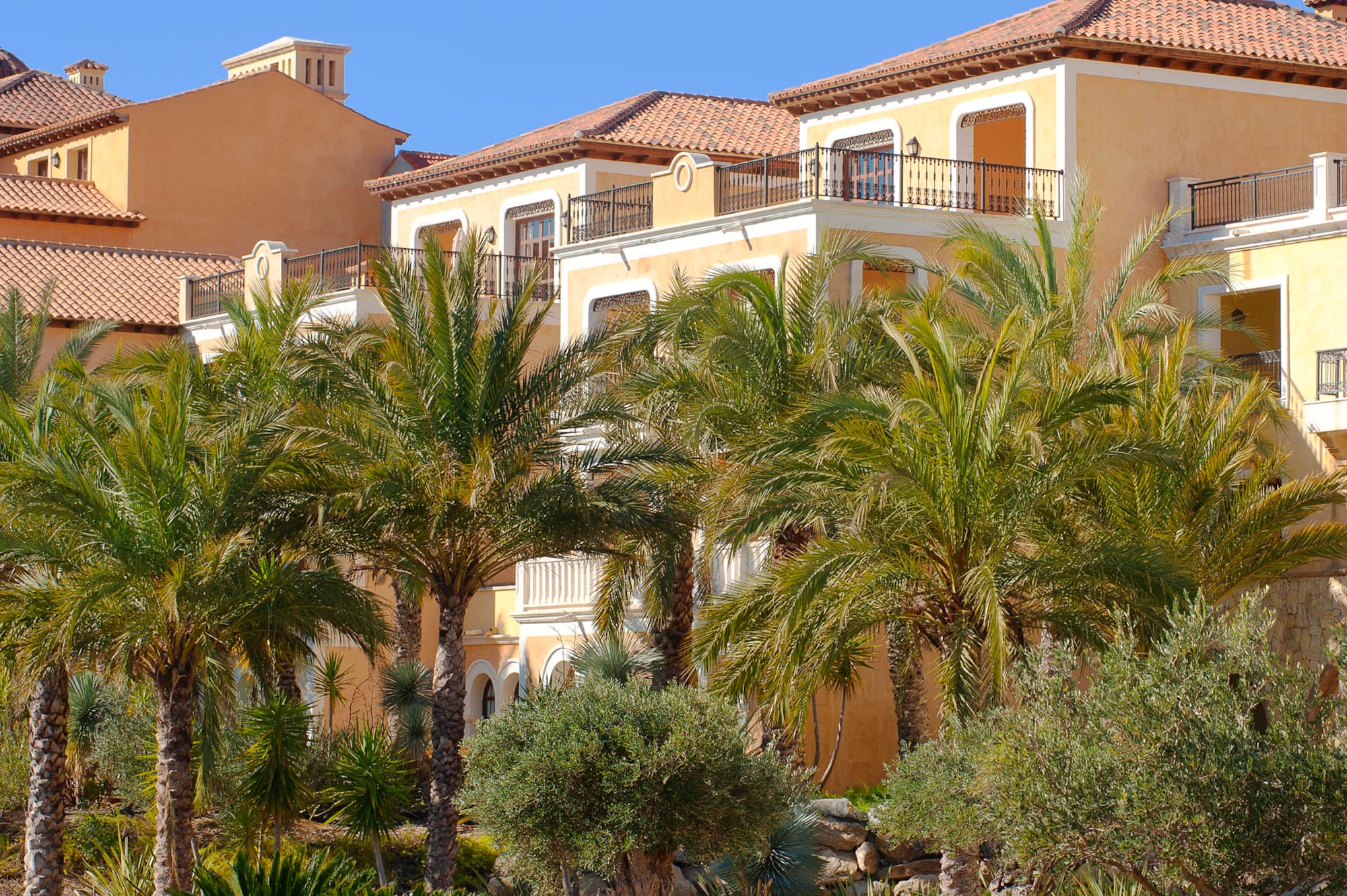 Sunny yellow Mediterranean building with red roofs and many palm trees.
