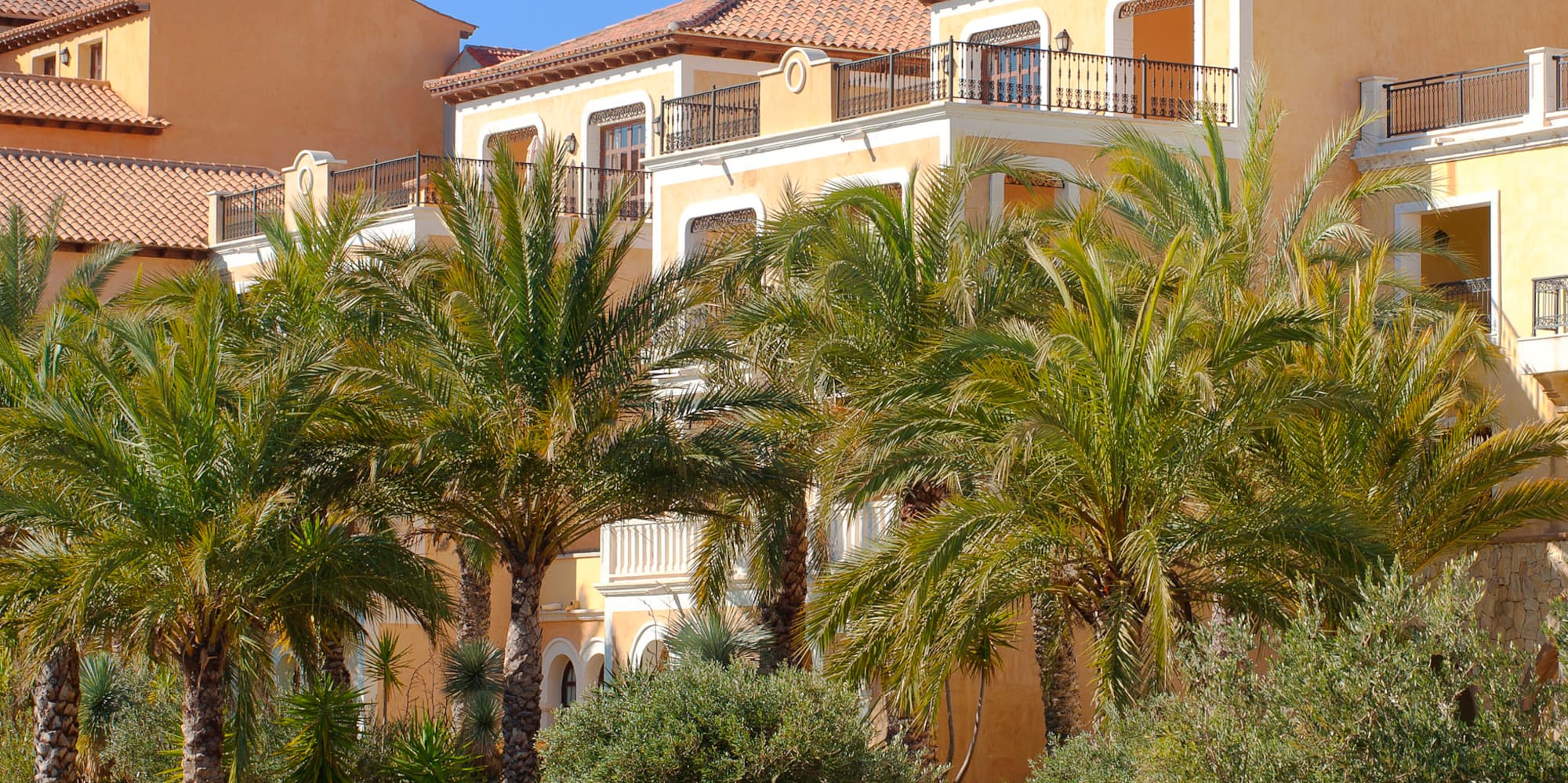 a building with palm trees