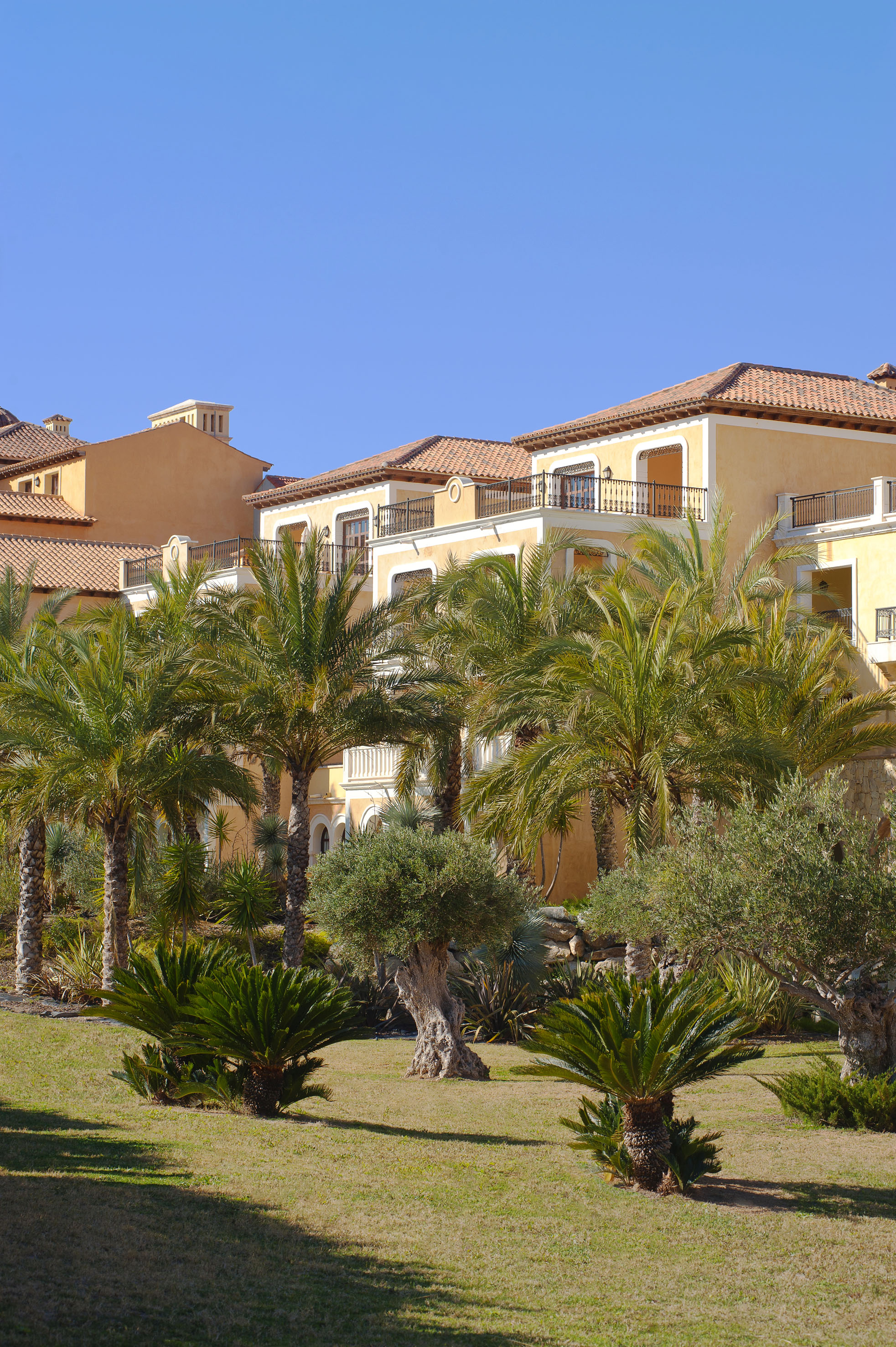 Sunny yellow Mediterranean building with red roofs and many palm trees.