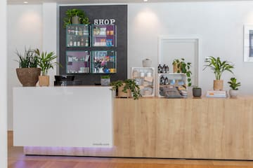 a counter with plants on it