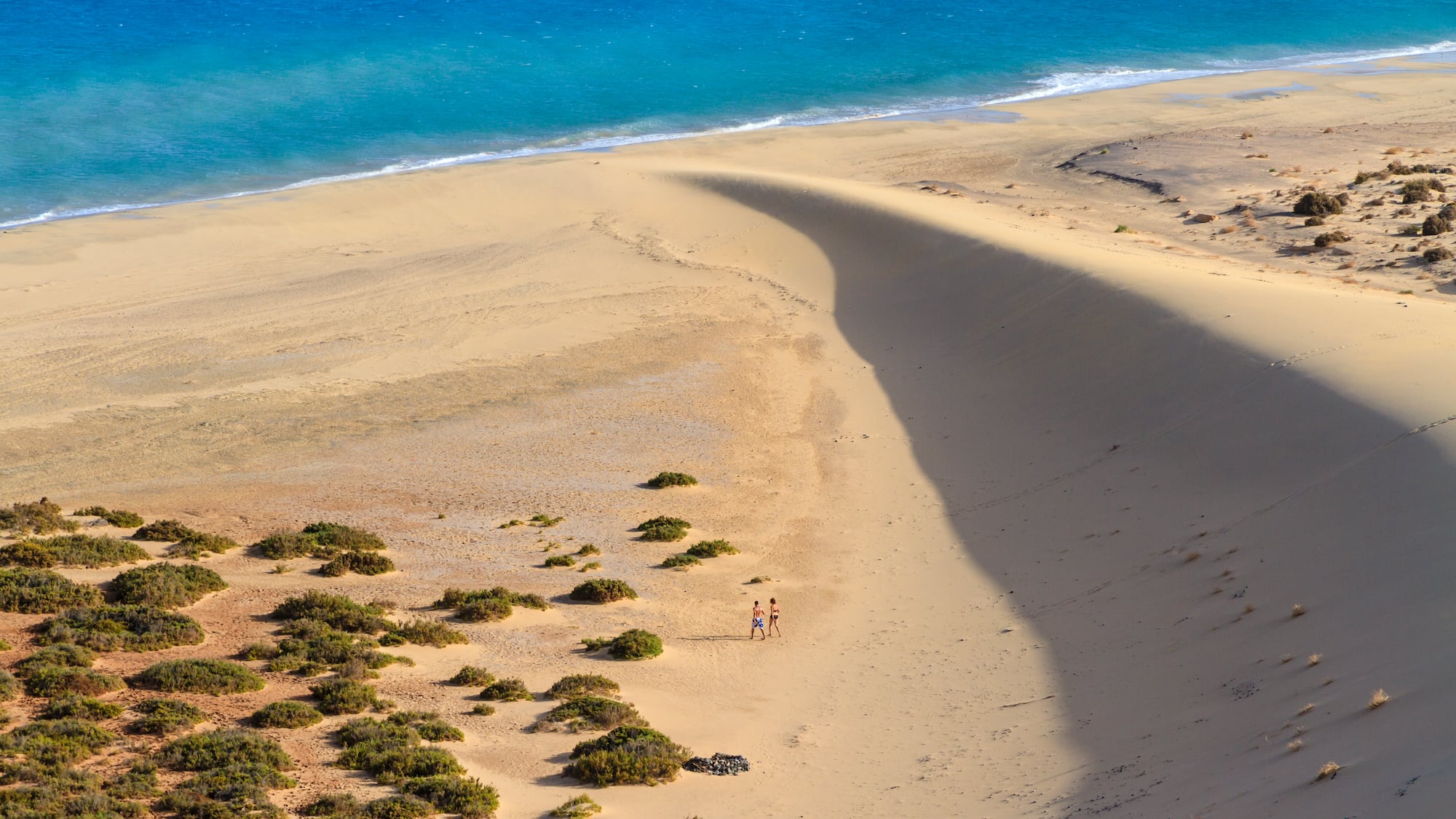 a couple of people walking on a sandy beach