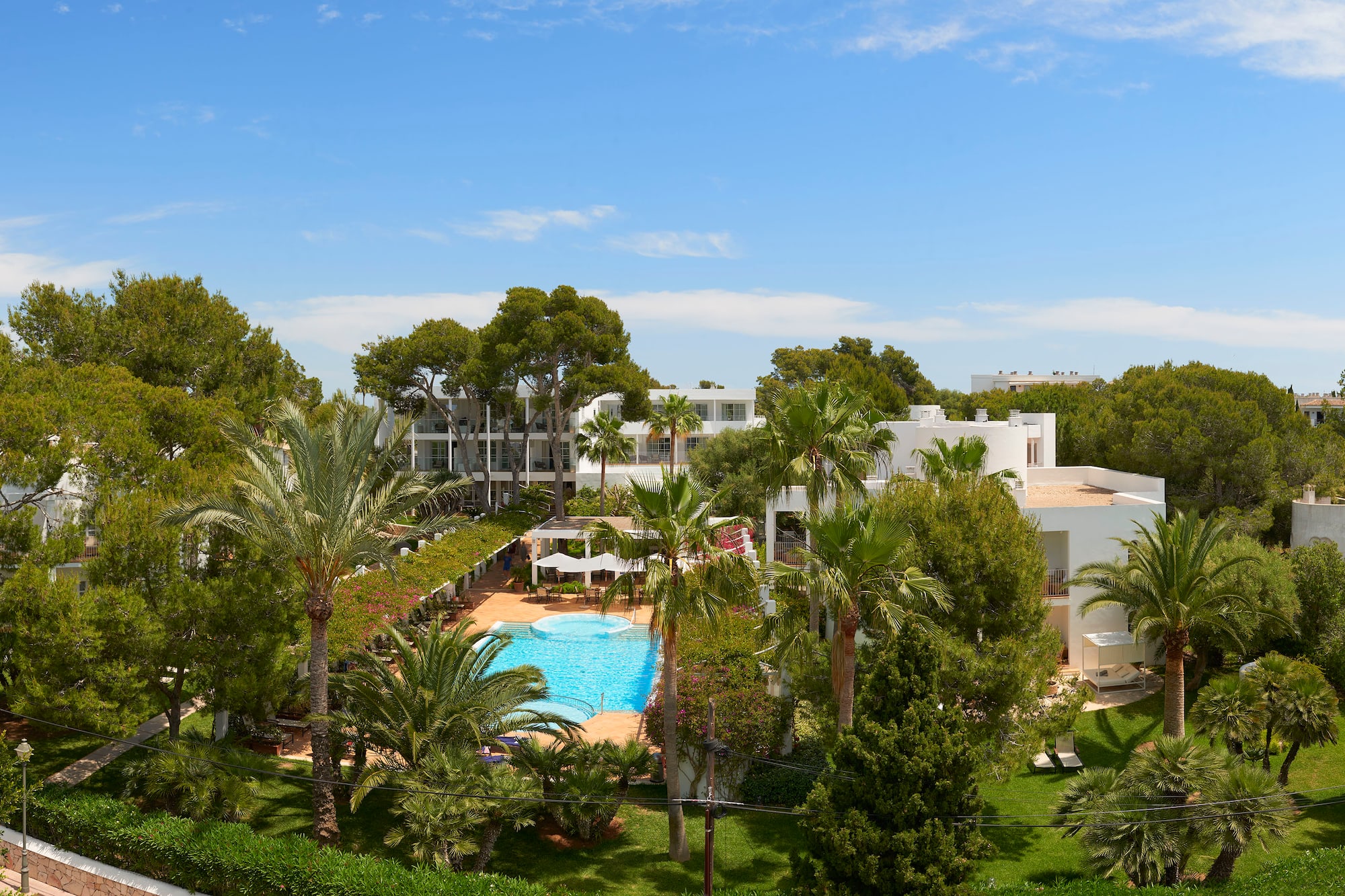 Sunny resort with swimming pool, white hotel buildings, and lush palm trees.