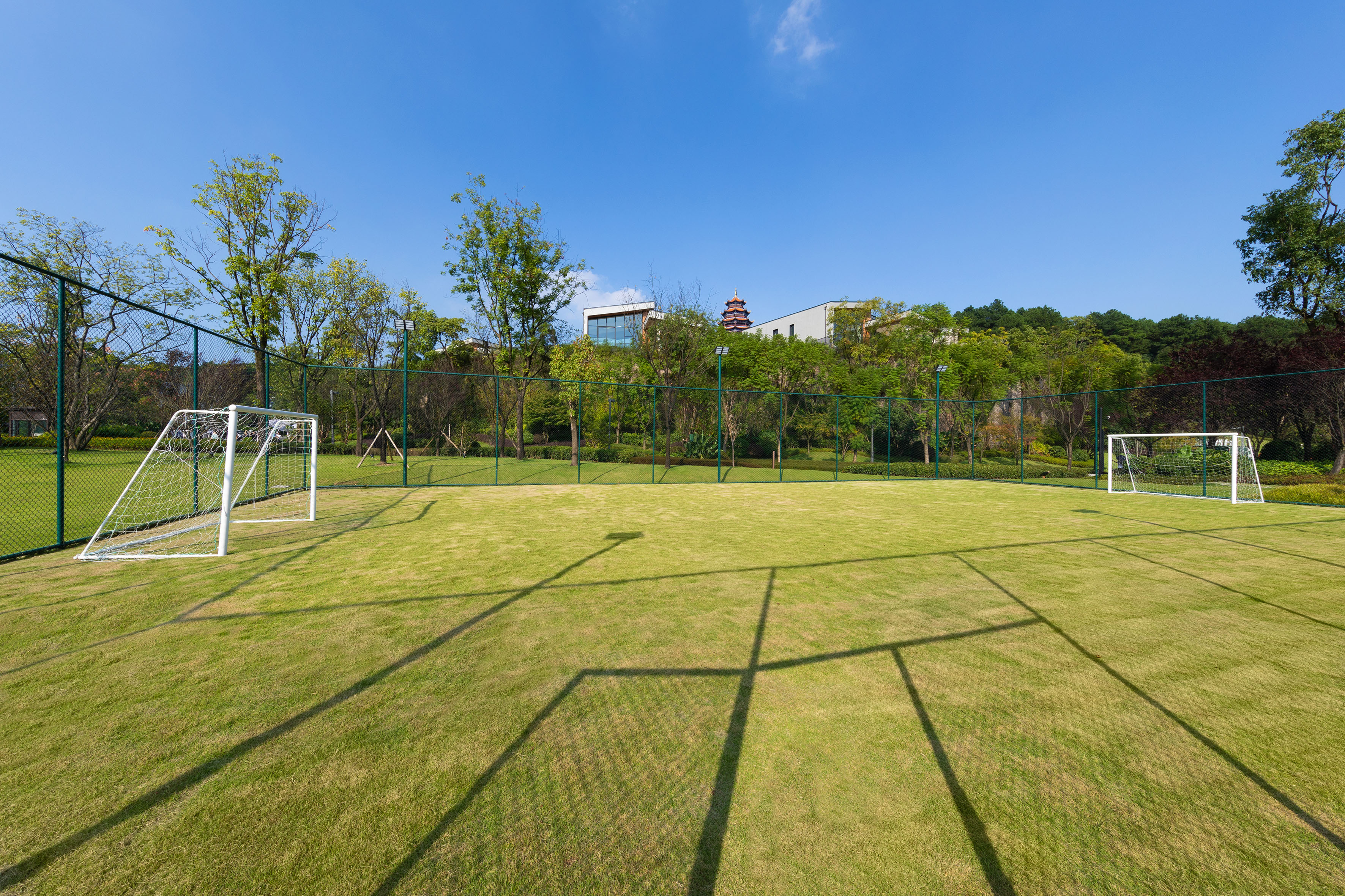 Green grass soccer field with two goals, fence, trees, and blue sky.
