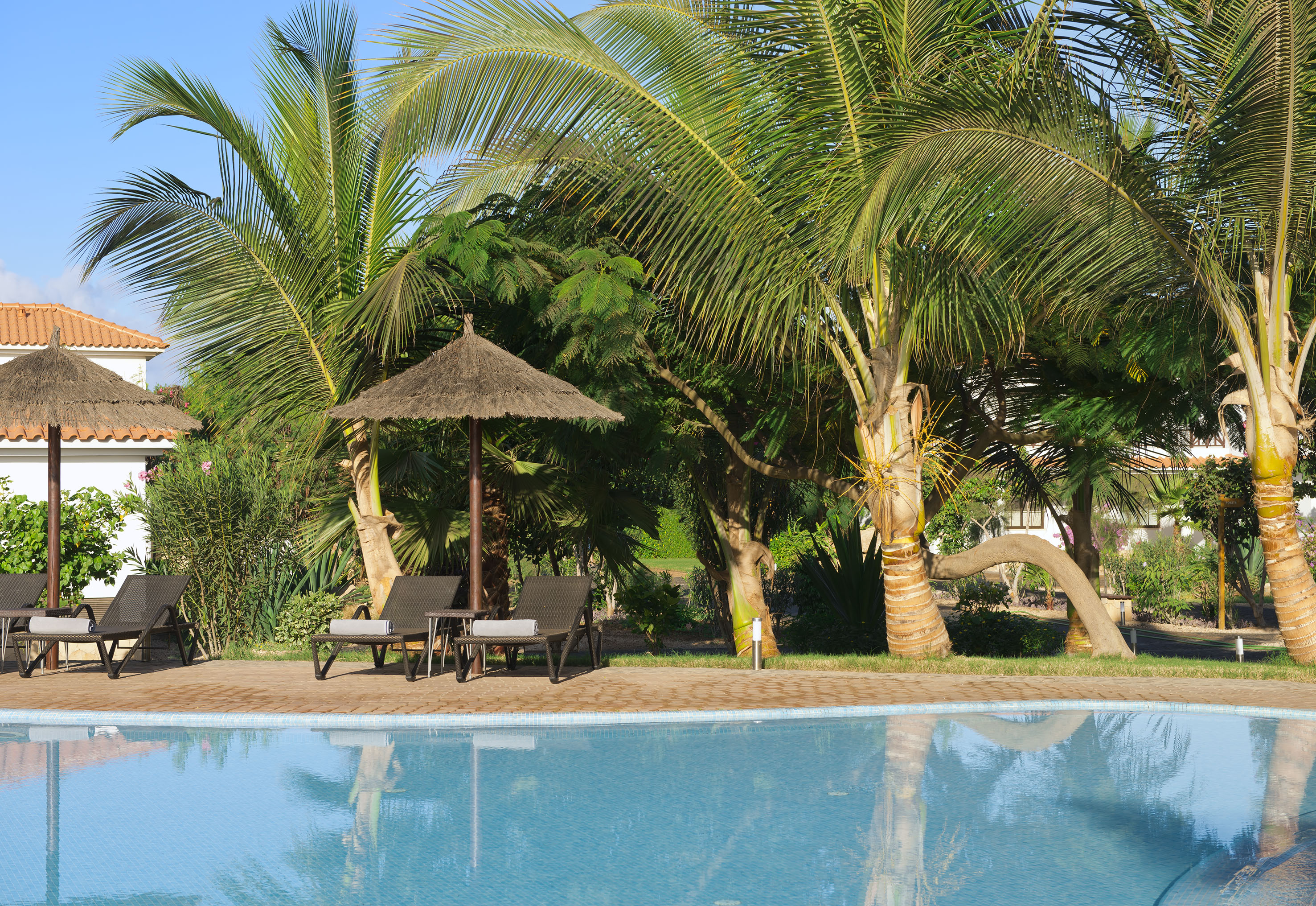 a pool with chairs and umbrellas by it