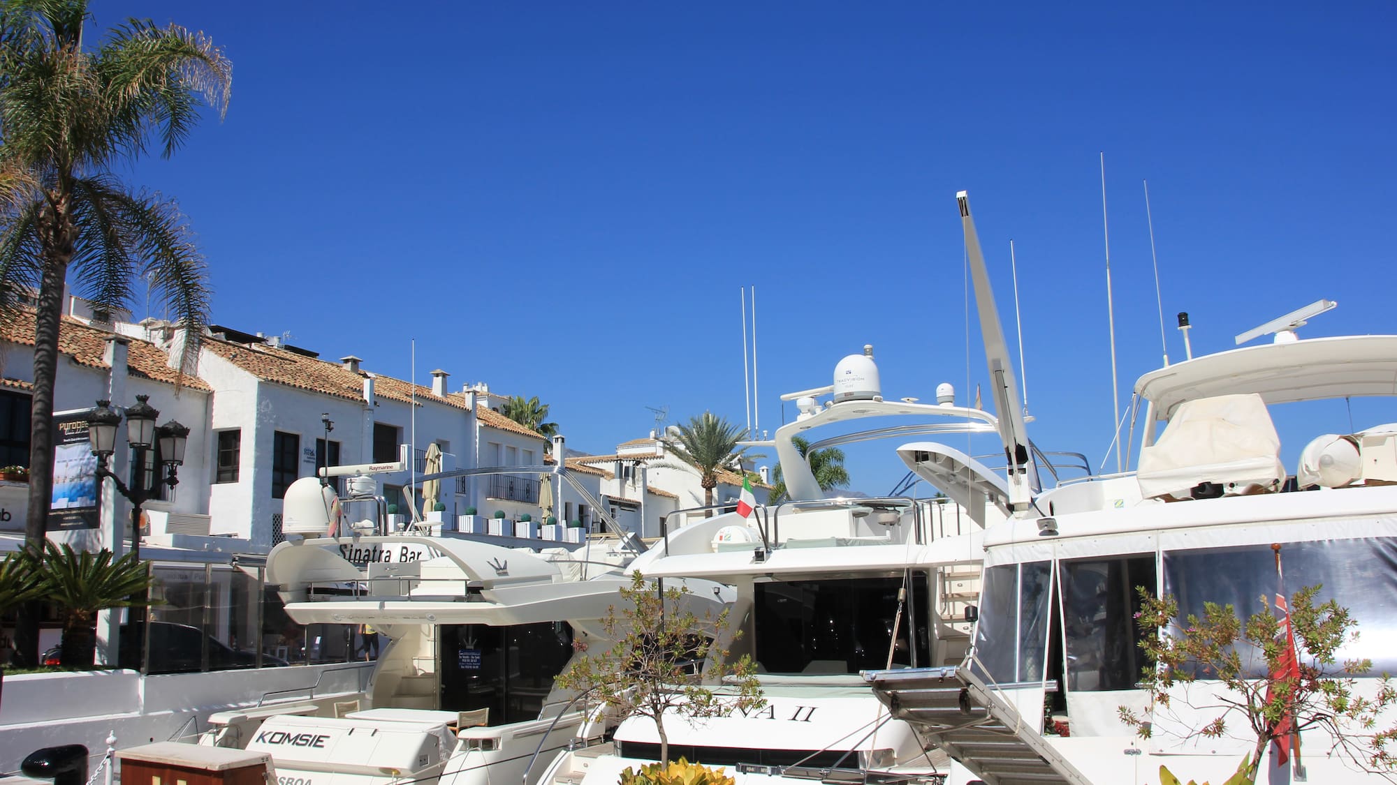 a group of white boats in a harbor