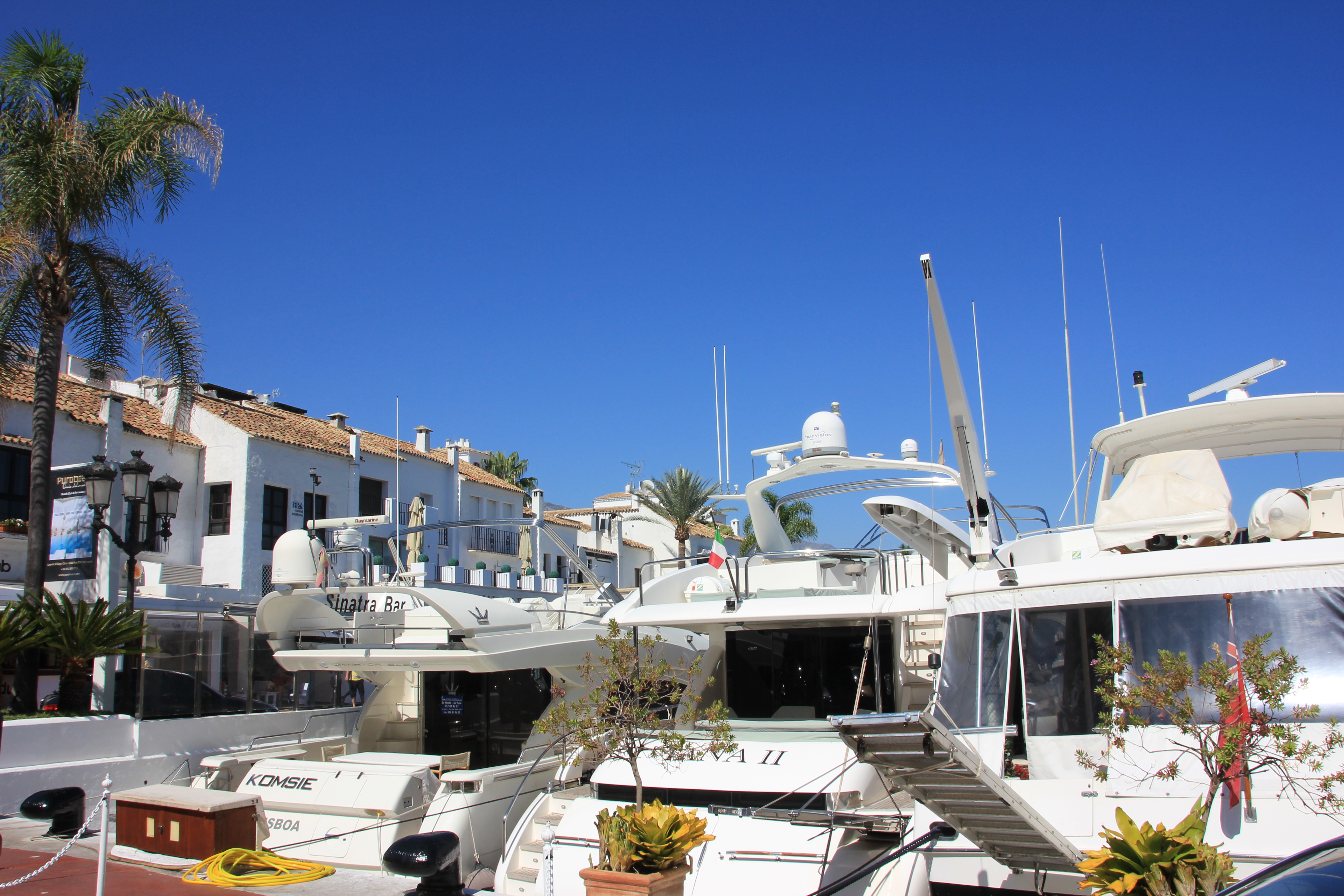 a group of white boats in a harbor