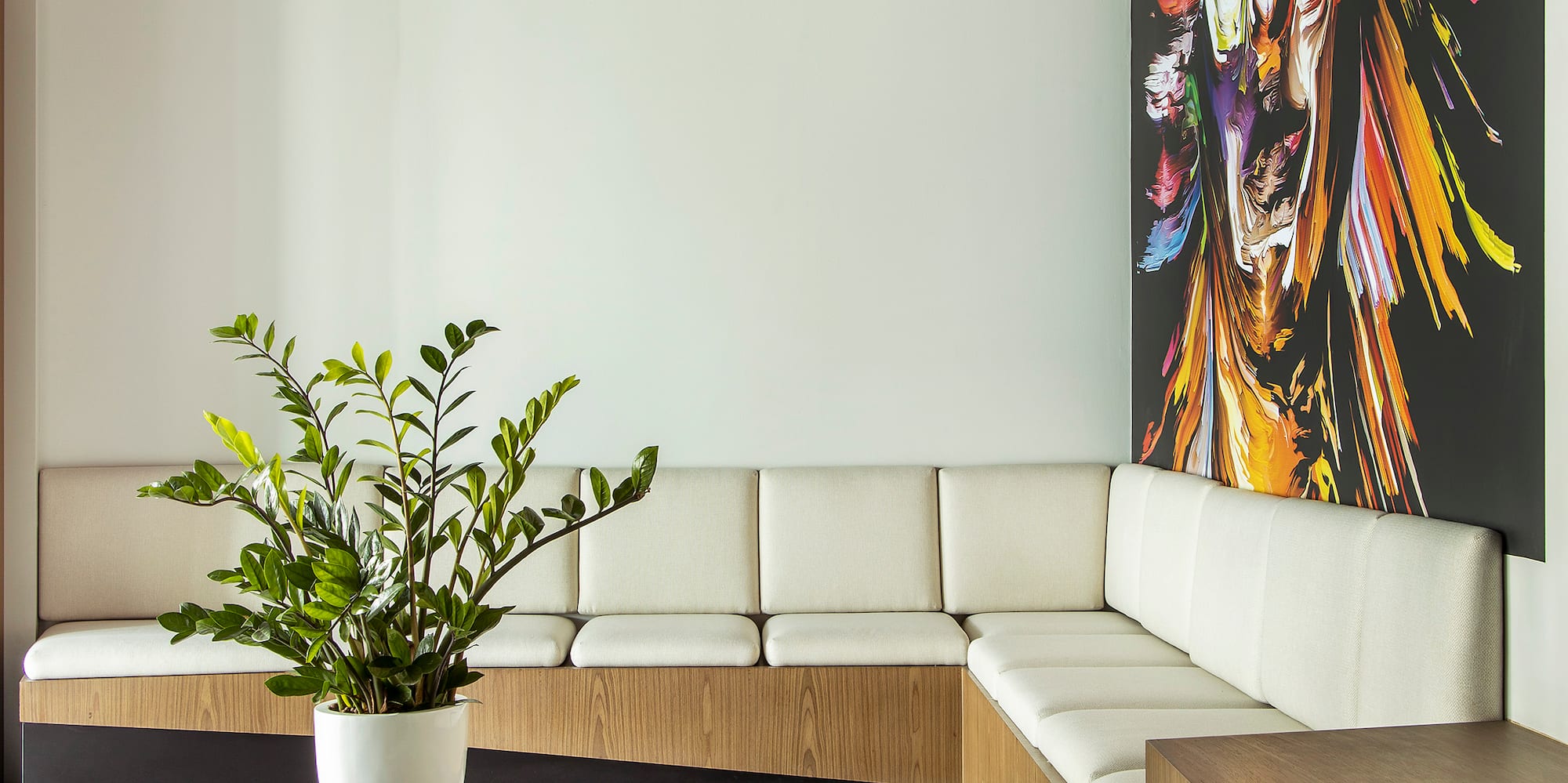 a room with couches and a plant