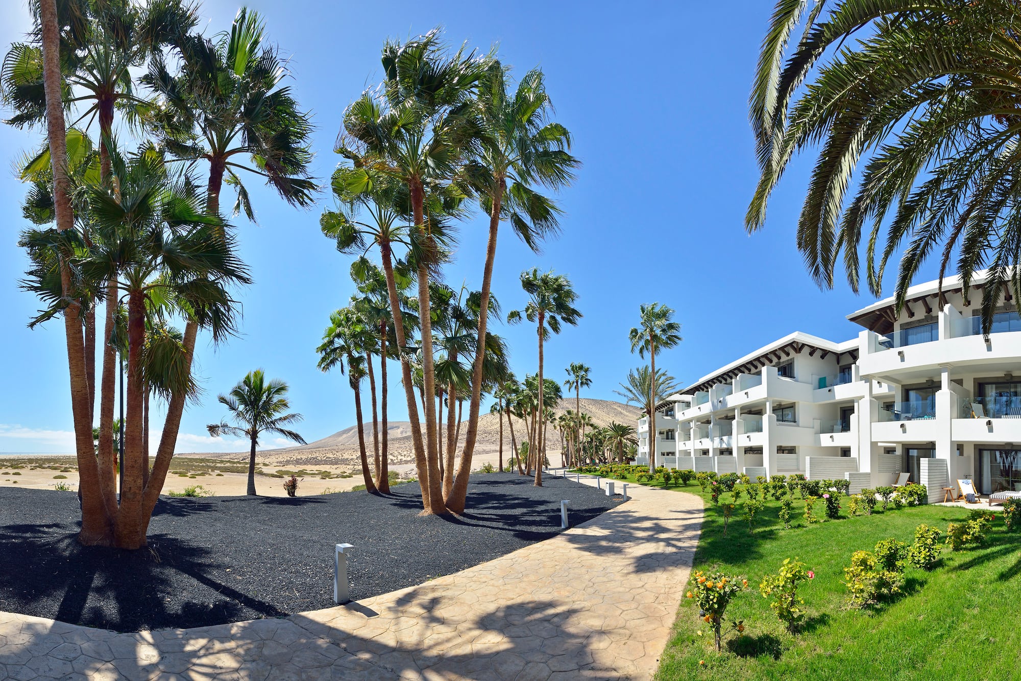 White hotel buildings, palm trees, stone path, and desert landscape.