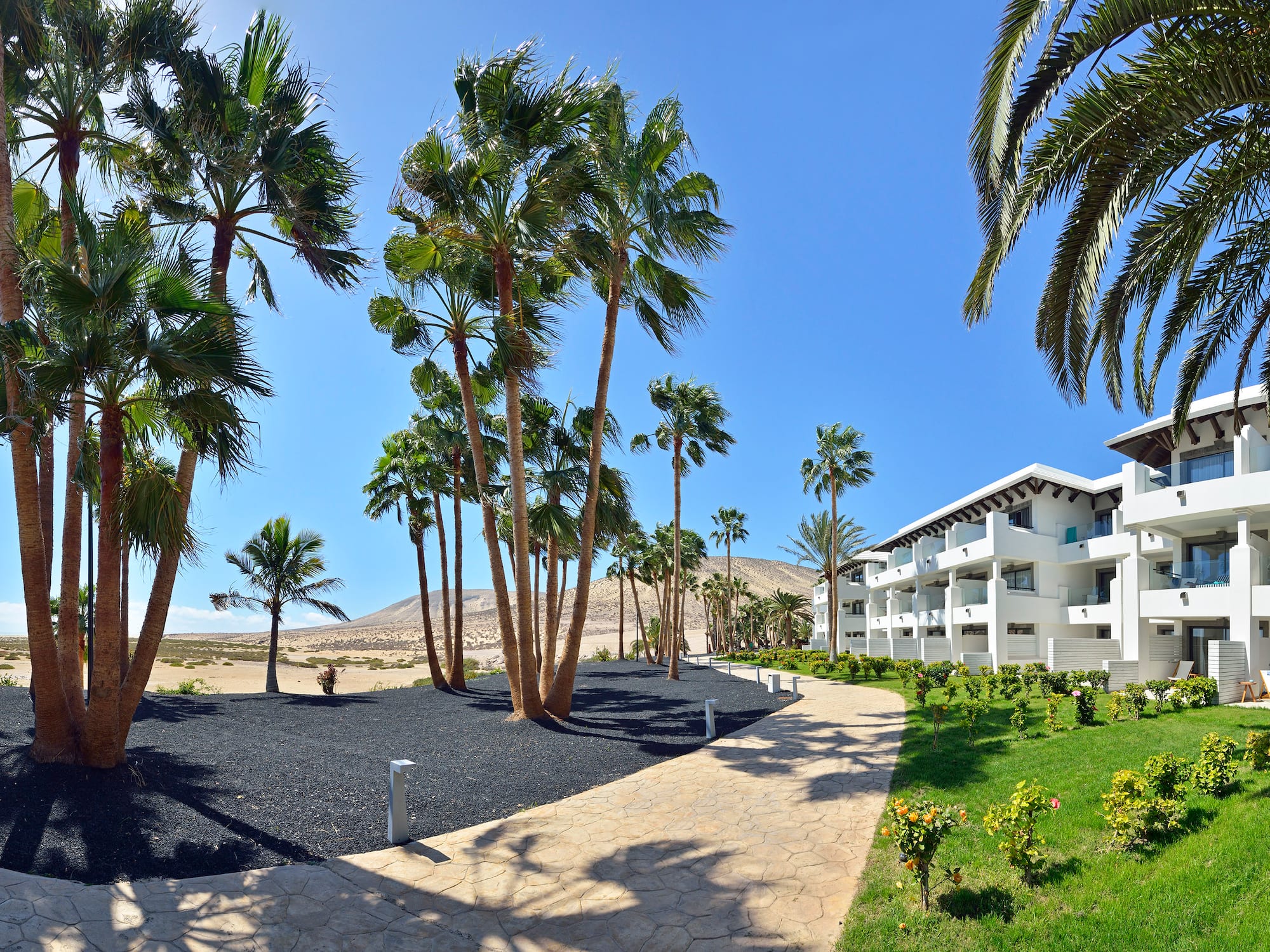 Resort moderno con palmeras, edificios blancos, suelo volcánico y dunas.