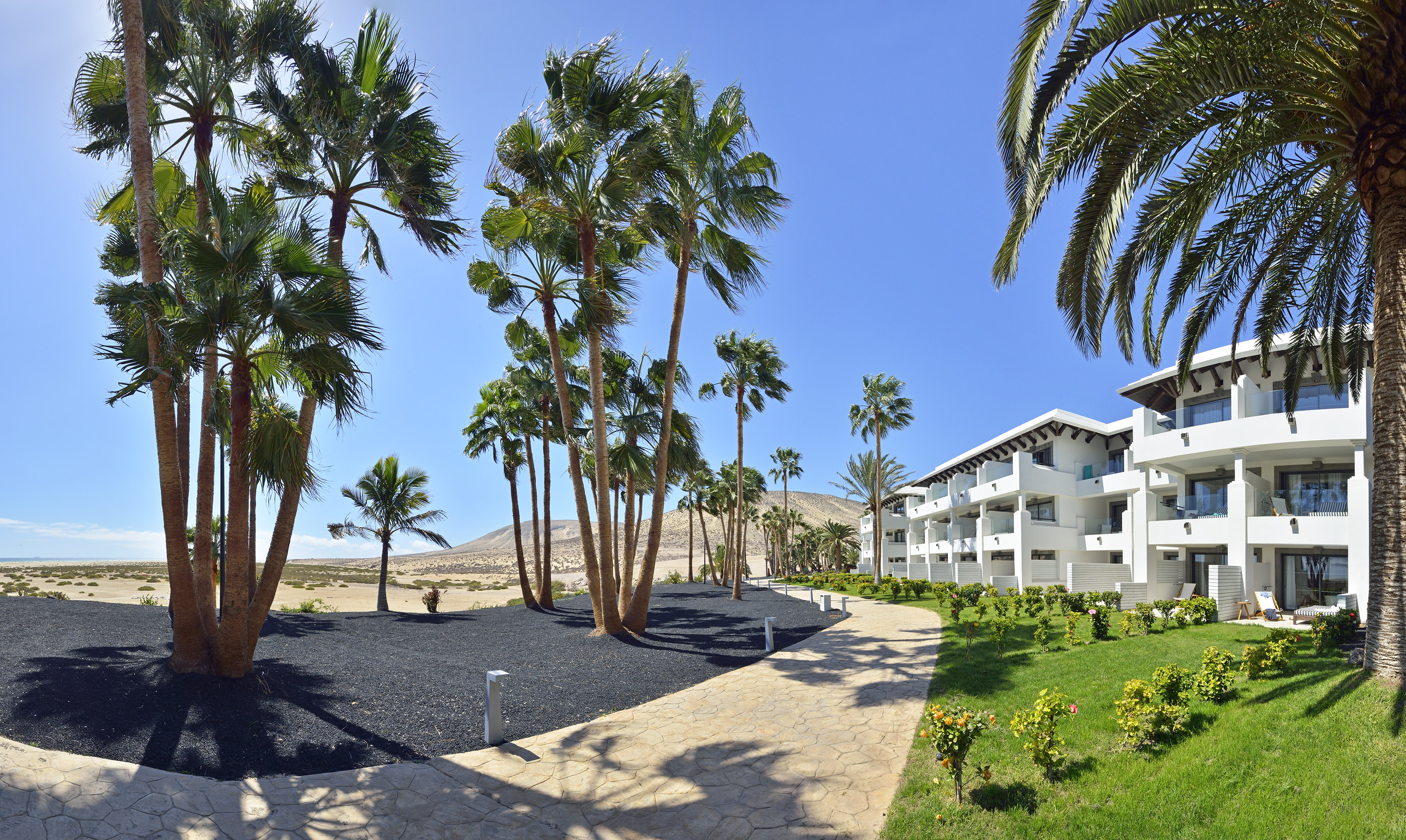 White hotel buildings, palm trees, stone path, and desert landscape.