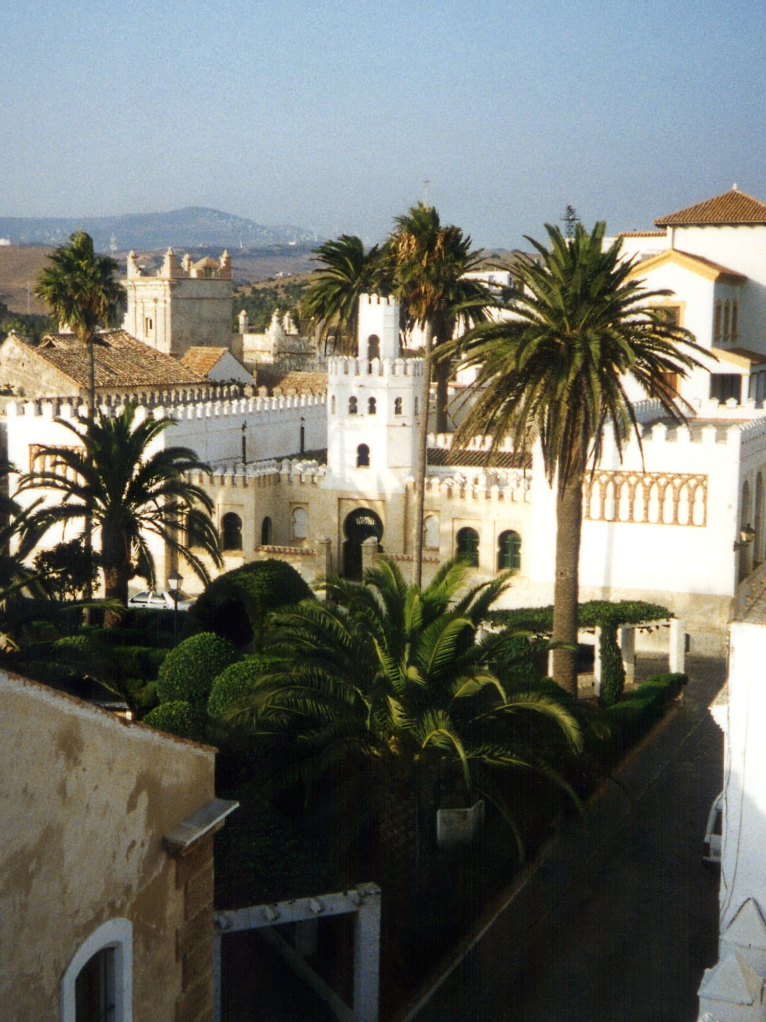 a white building with palm trees