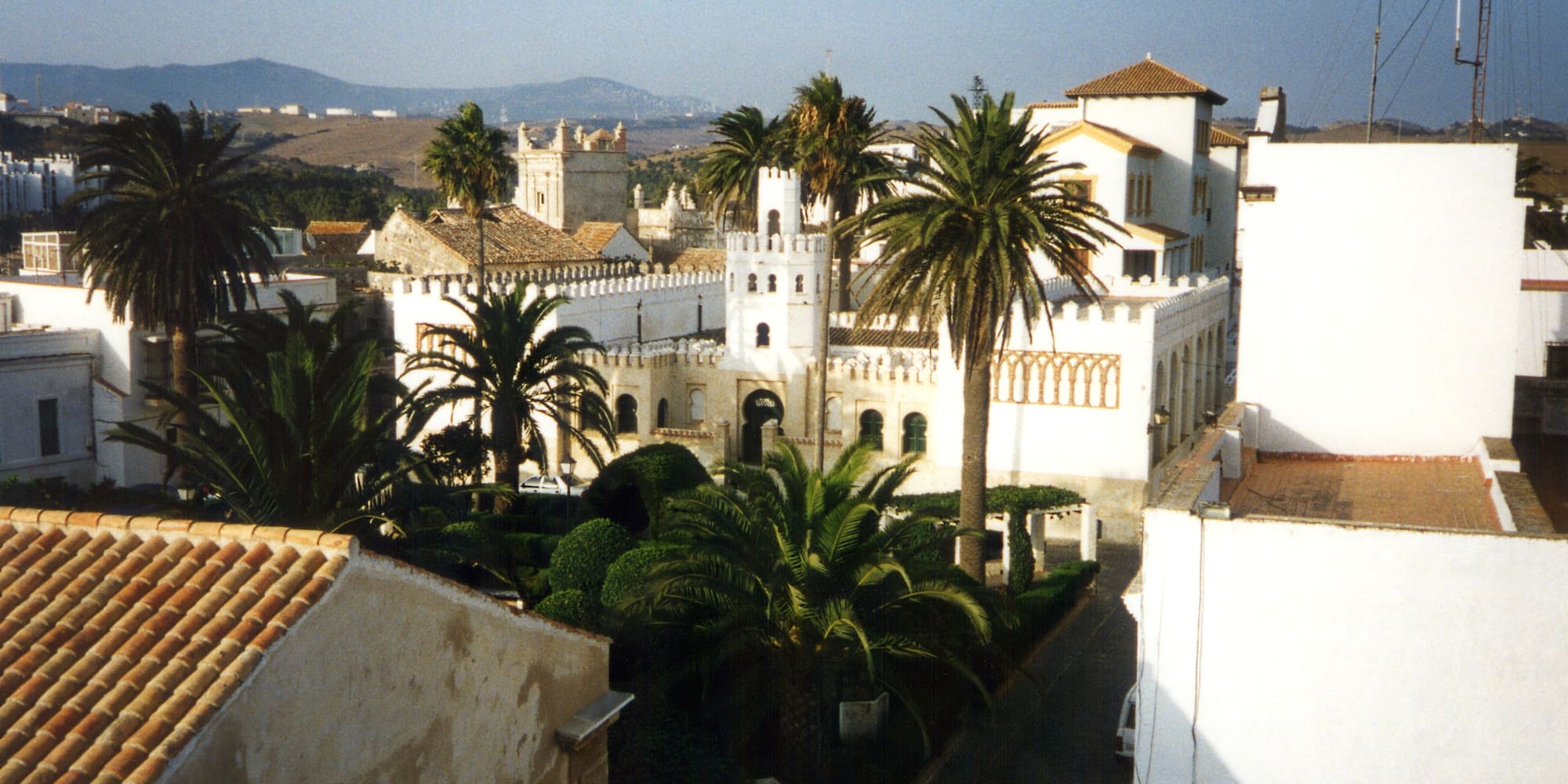 a white building with palm trees